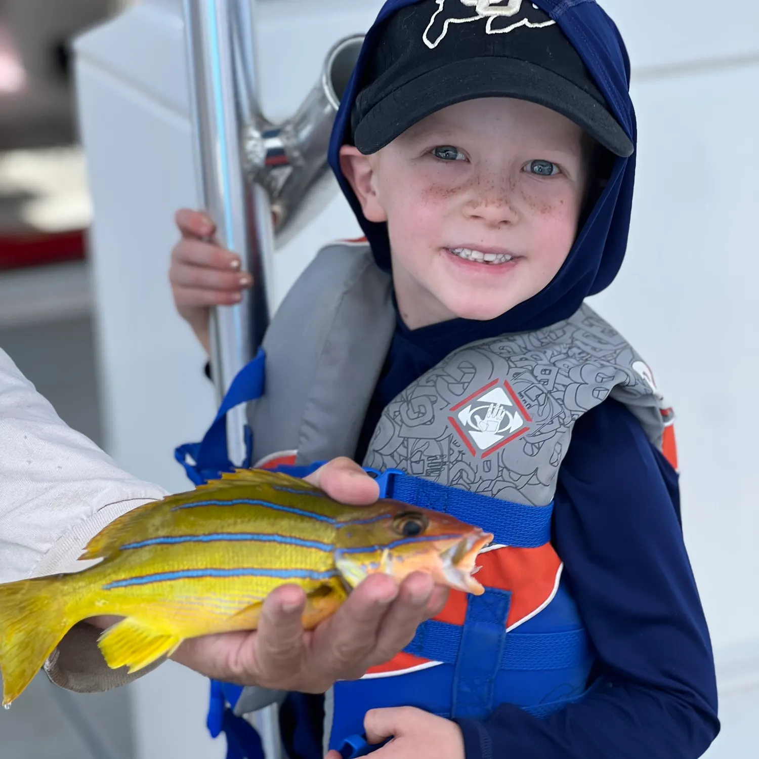 The most recent Bluefin trevally catches on Fishbrain
