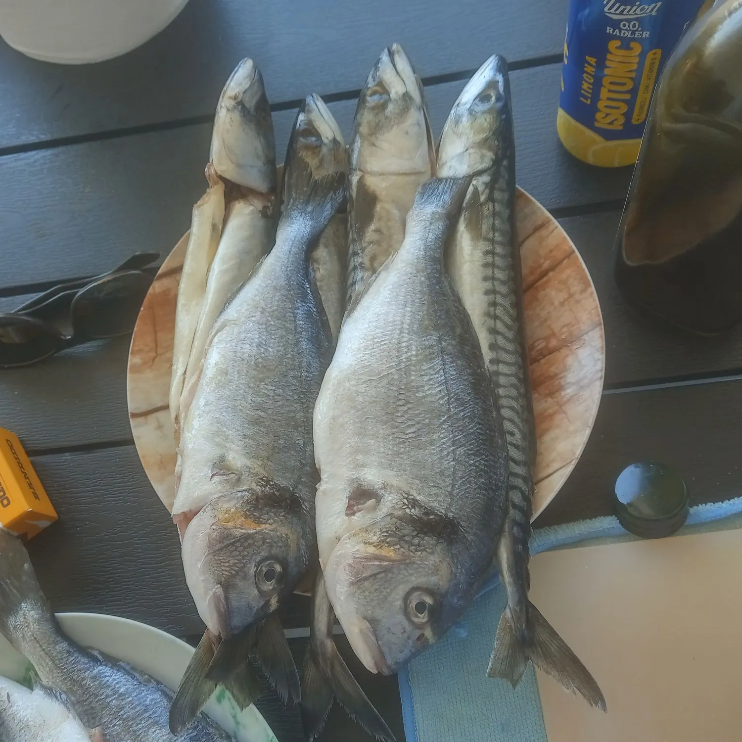 The most recent Goldlined seabream catches on Fishbrain