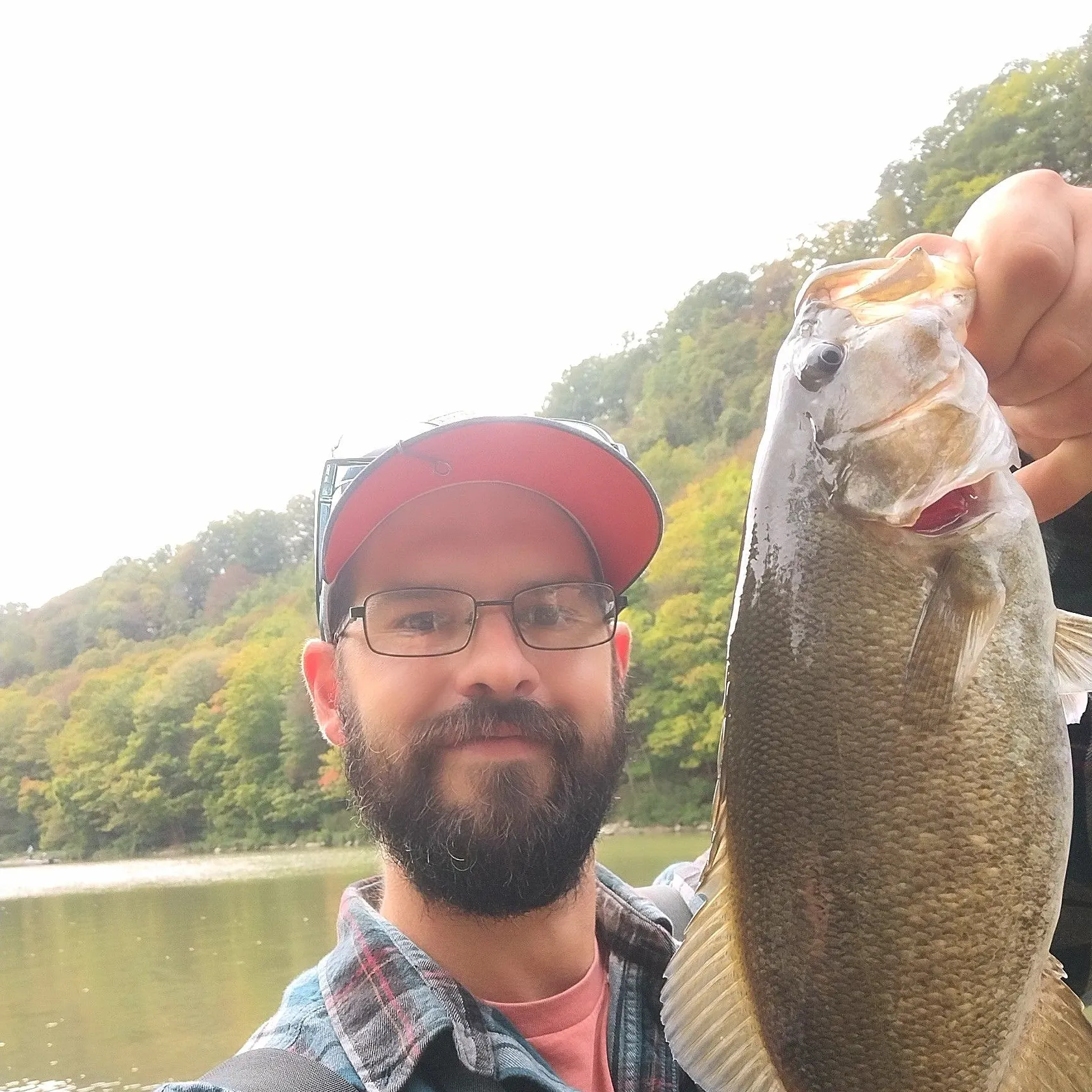 Smallmouth bass caught on Fishbrain