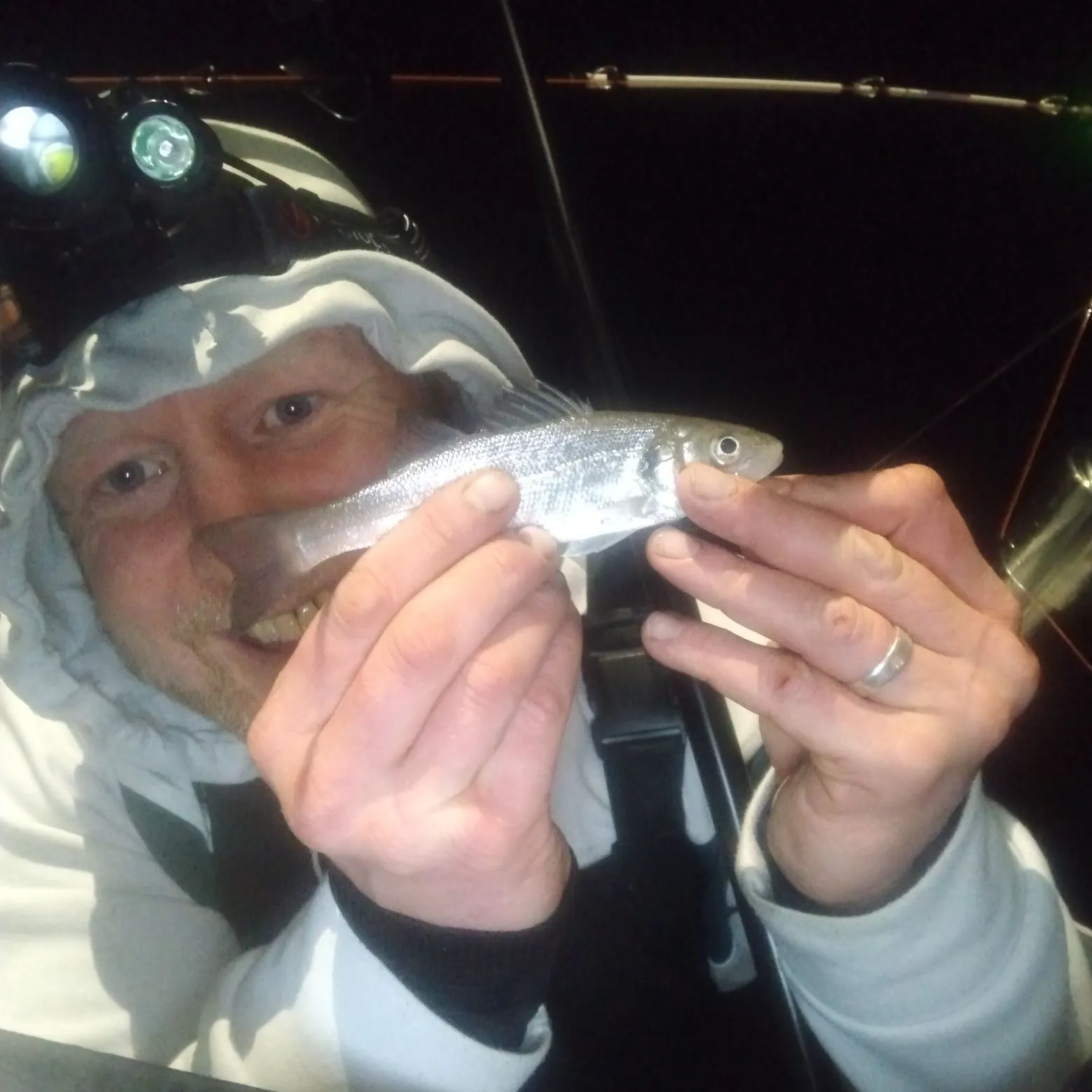 The most recent European seabass catches on Fishbrain