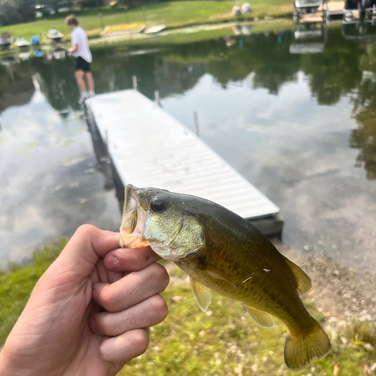 catch