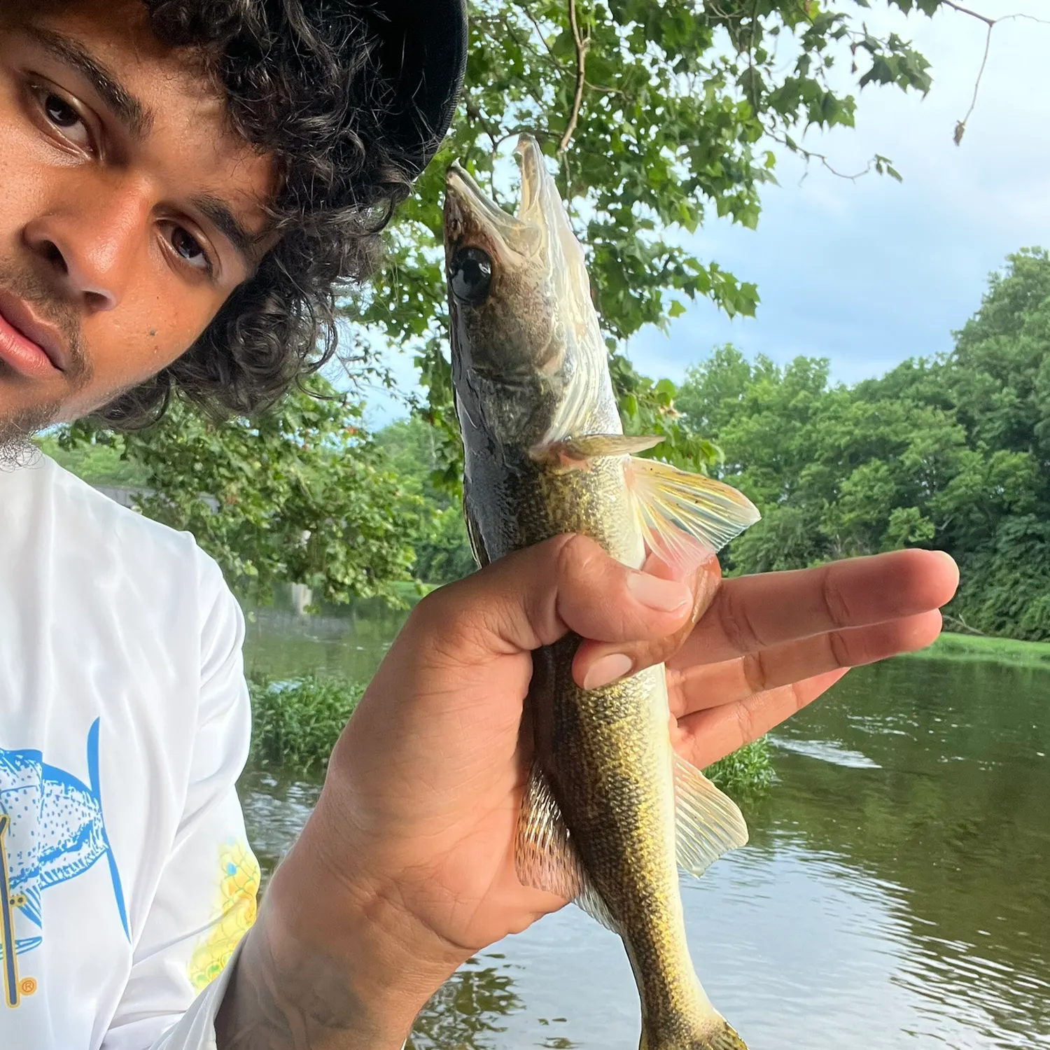 The most recent Sauger catches on Fishbrain