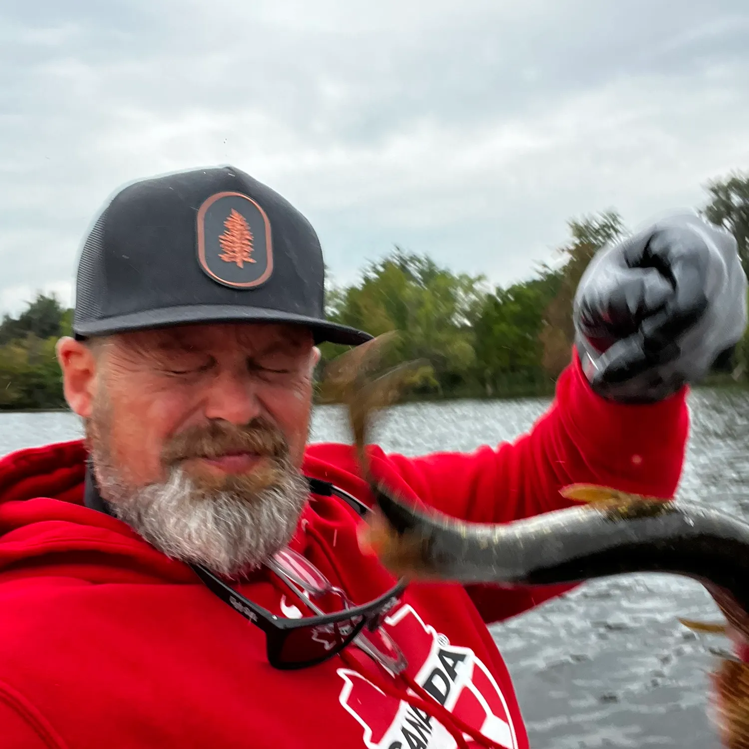 Northern pike caught on Fishbrain