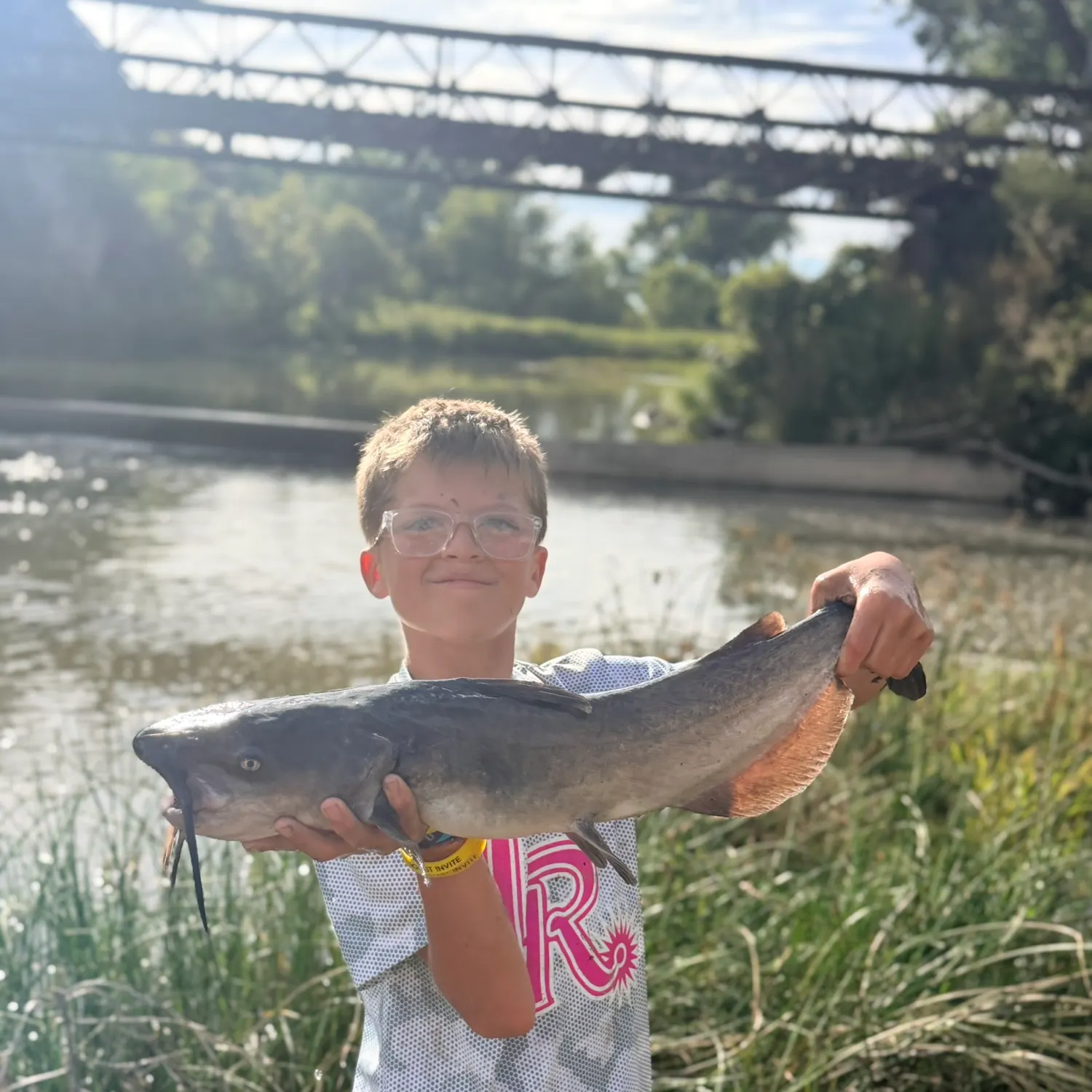Channel catfish caught on Fishbrain