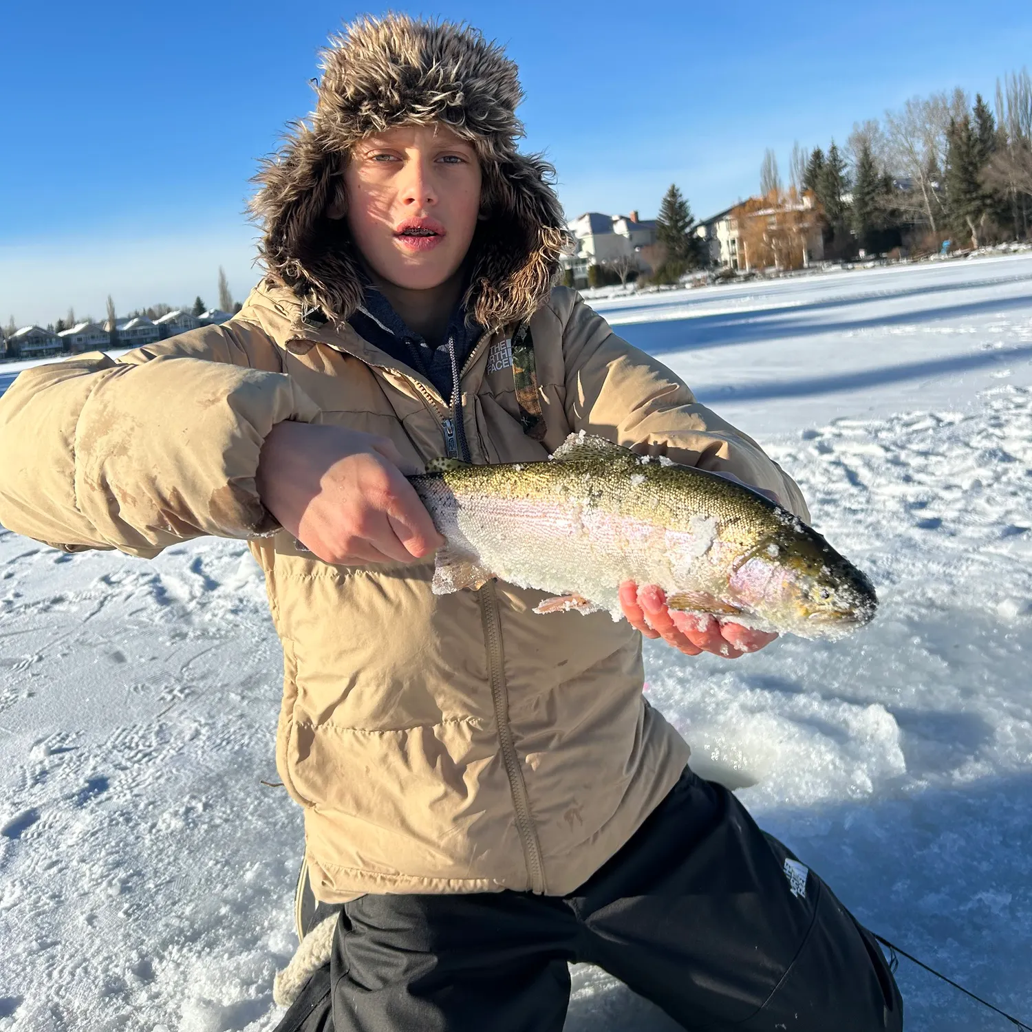 The most recent Rainbow trout catches on Fishbrain
