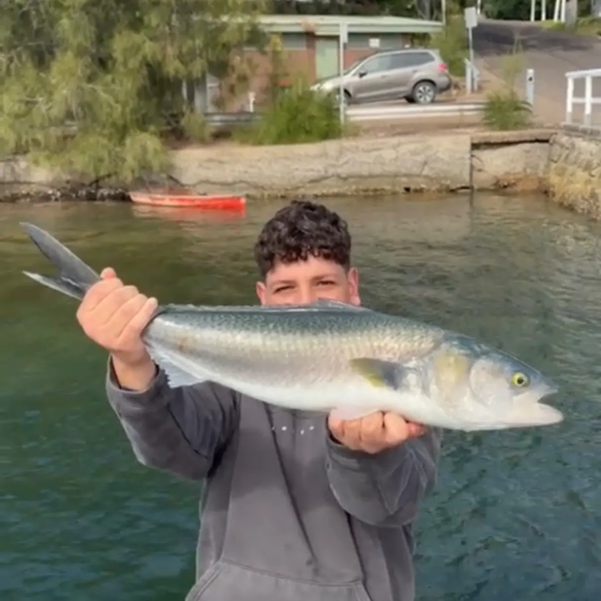 Eastern Australian salmon caught on Fishbrain