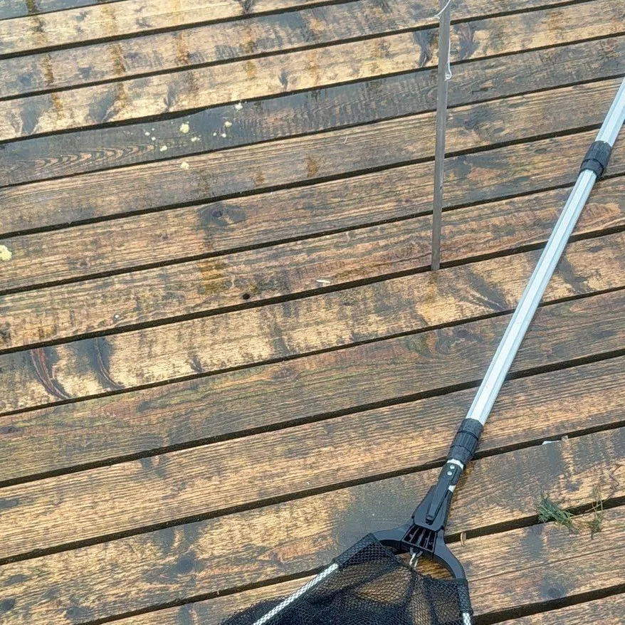 Tench caught on Fishbrain