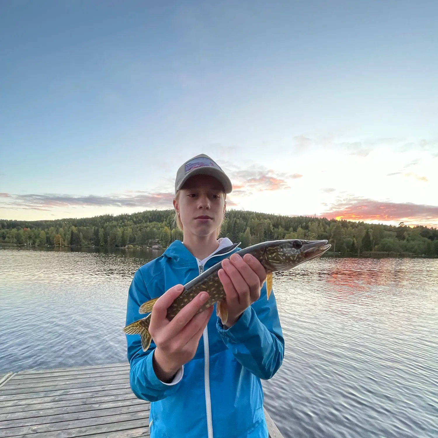 Northern pike caught on Fishbrain