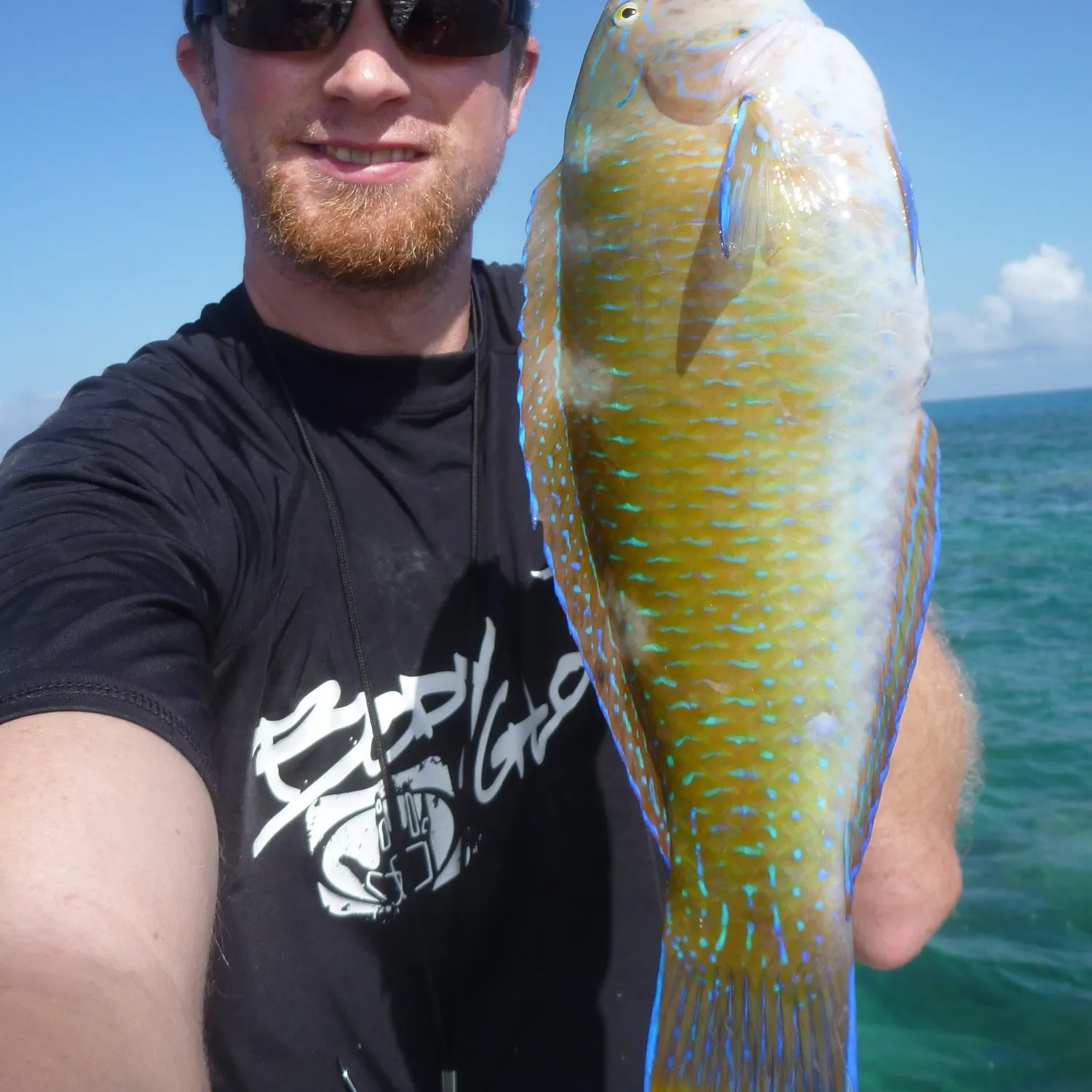 The most recent Puddingwife wrasse catches on Fishbrain