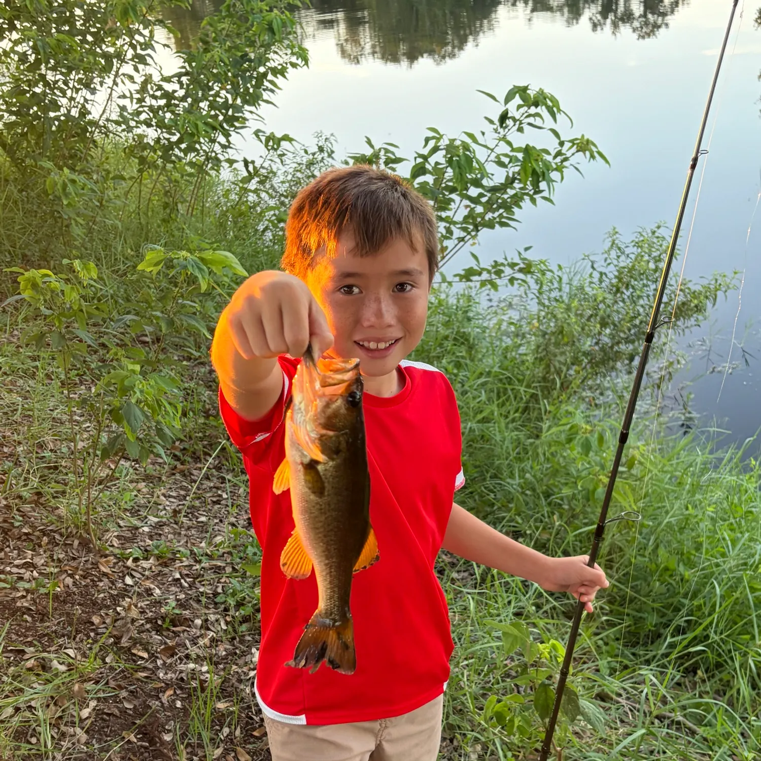 Largemouth bass caught on Fishbrain