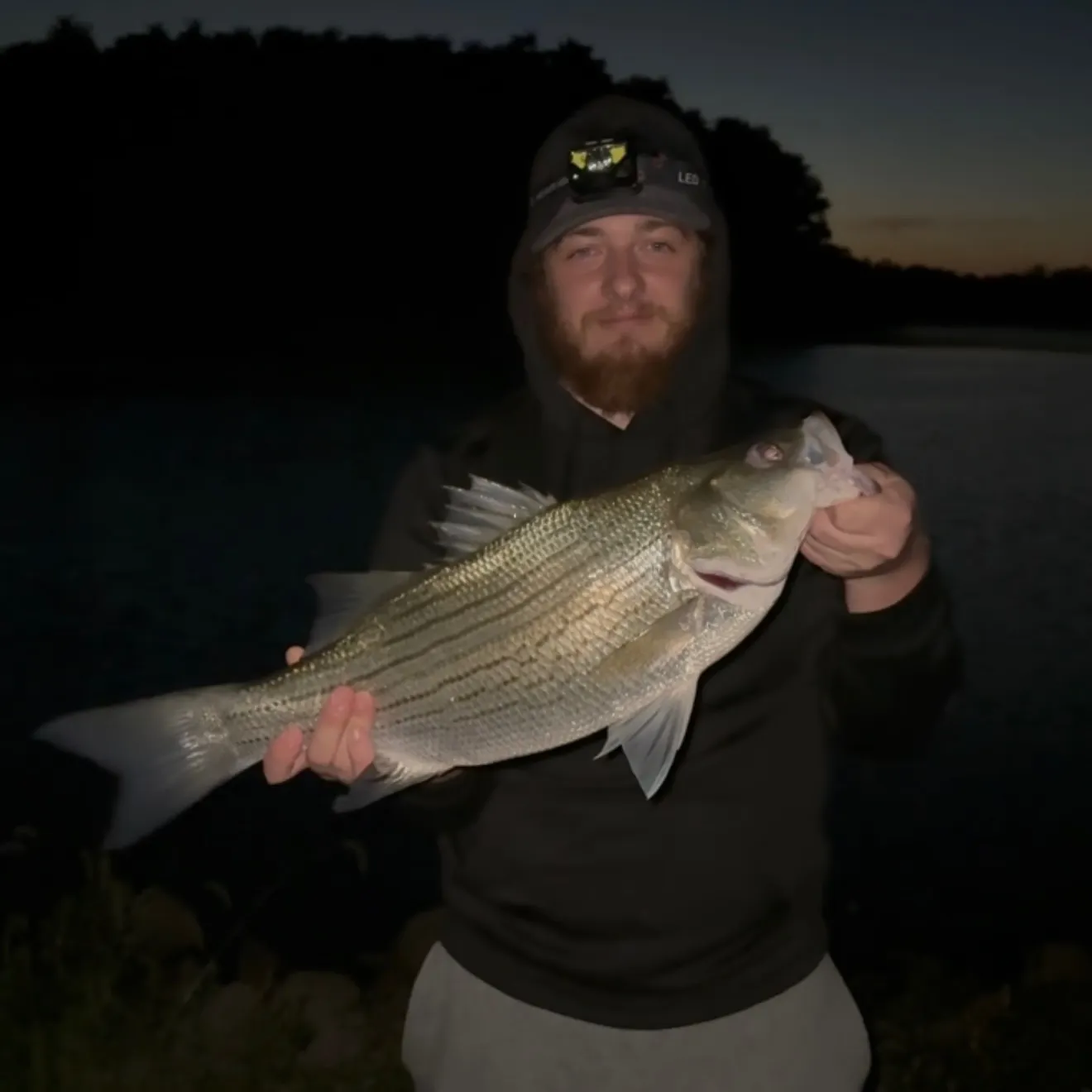 Wiper caught on Fishbrain