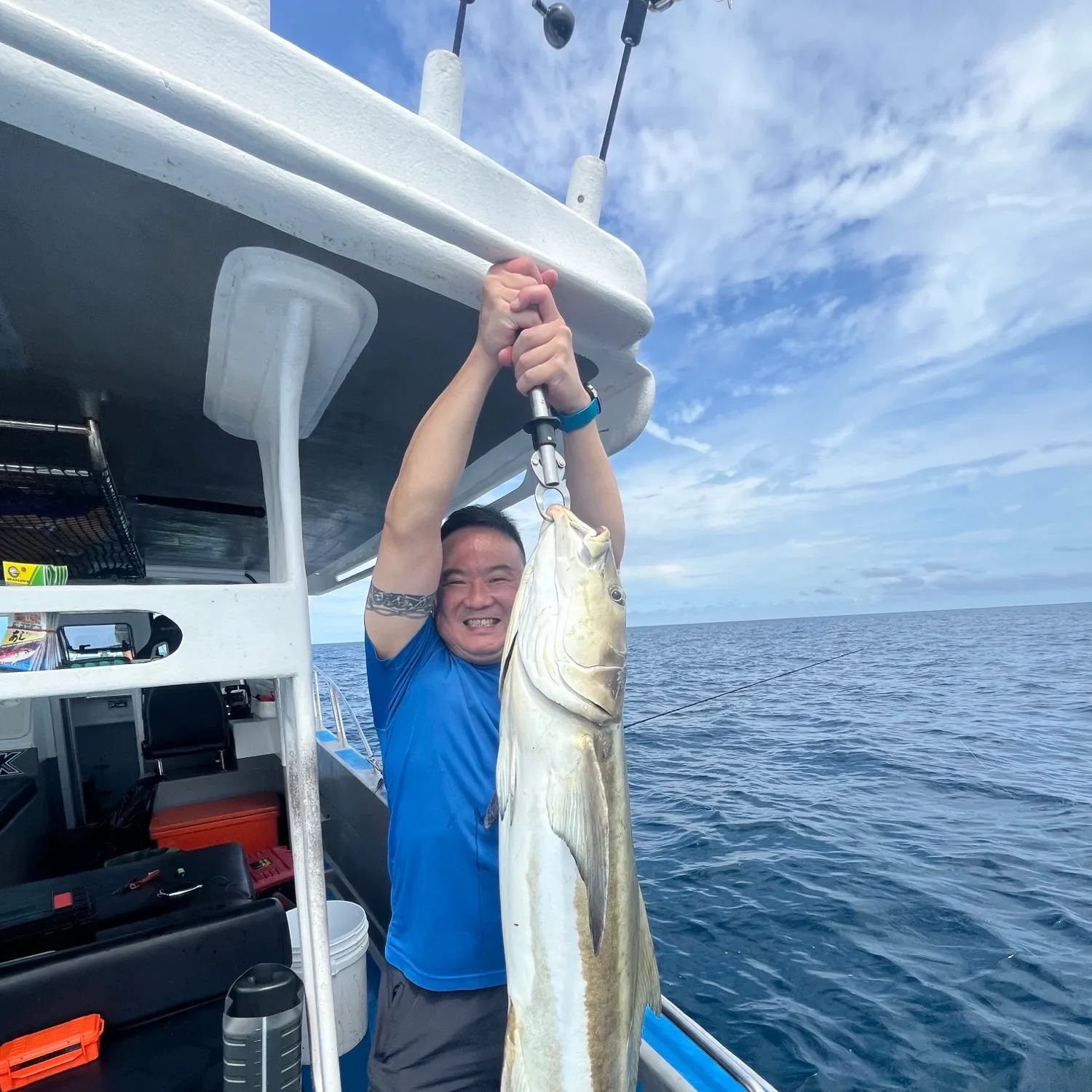 Cobia caught on Fishbrain