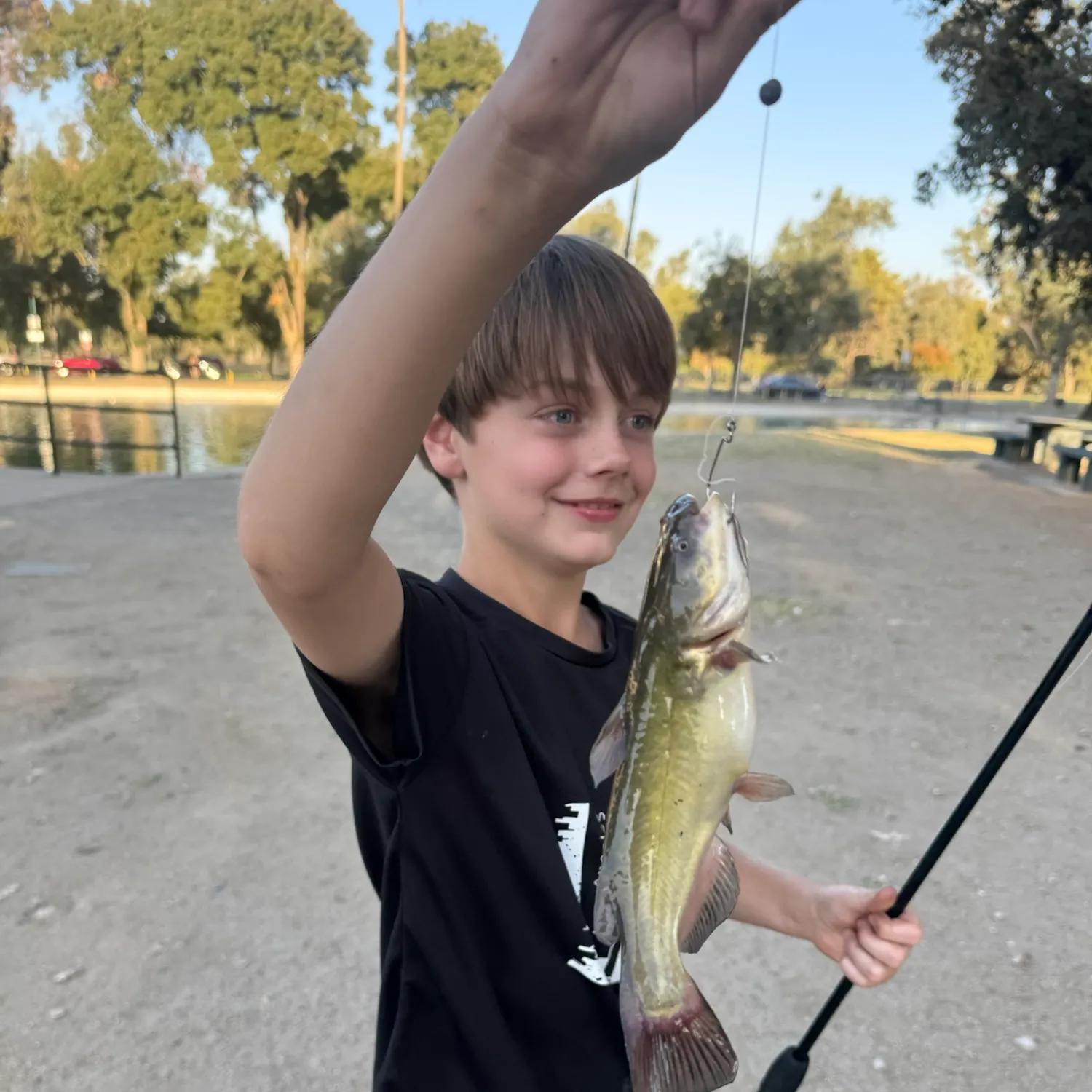 Channel catfish caught on Fishbrain