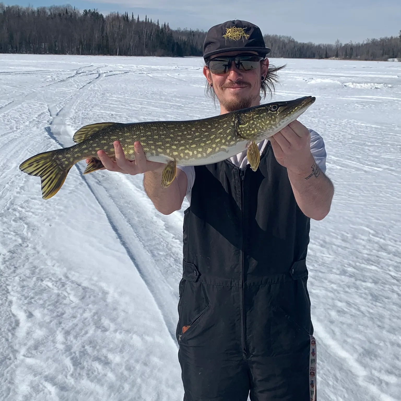 The most recent Northern pike catches on Fishbrain