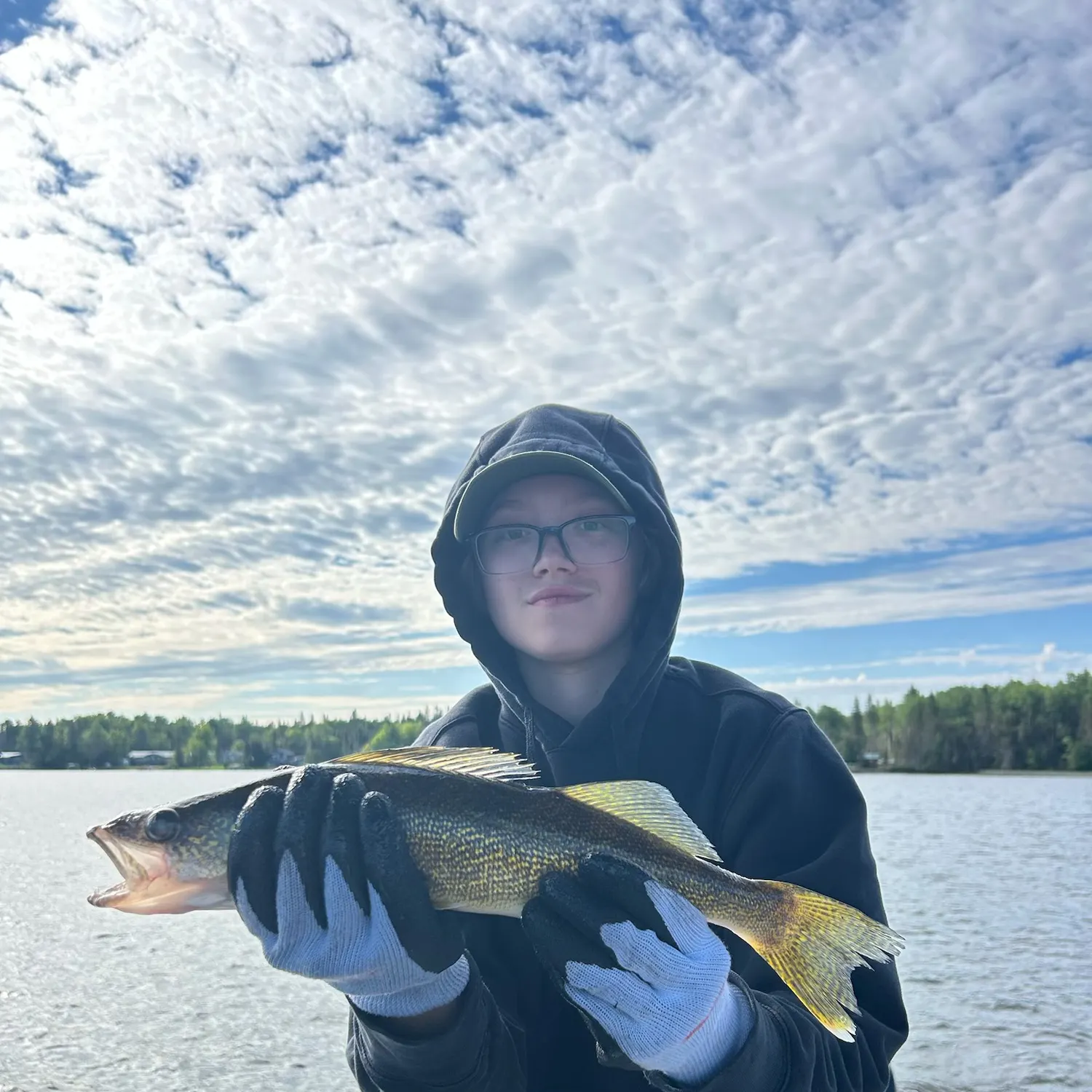 Walleye caught on Fishbrain