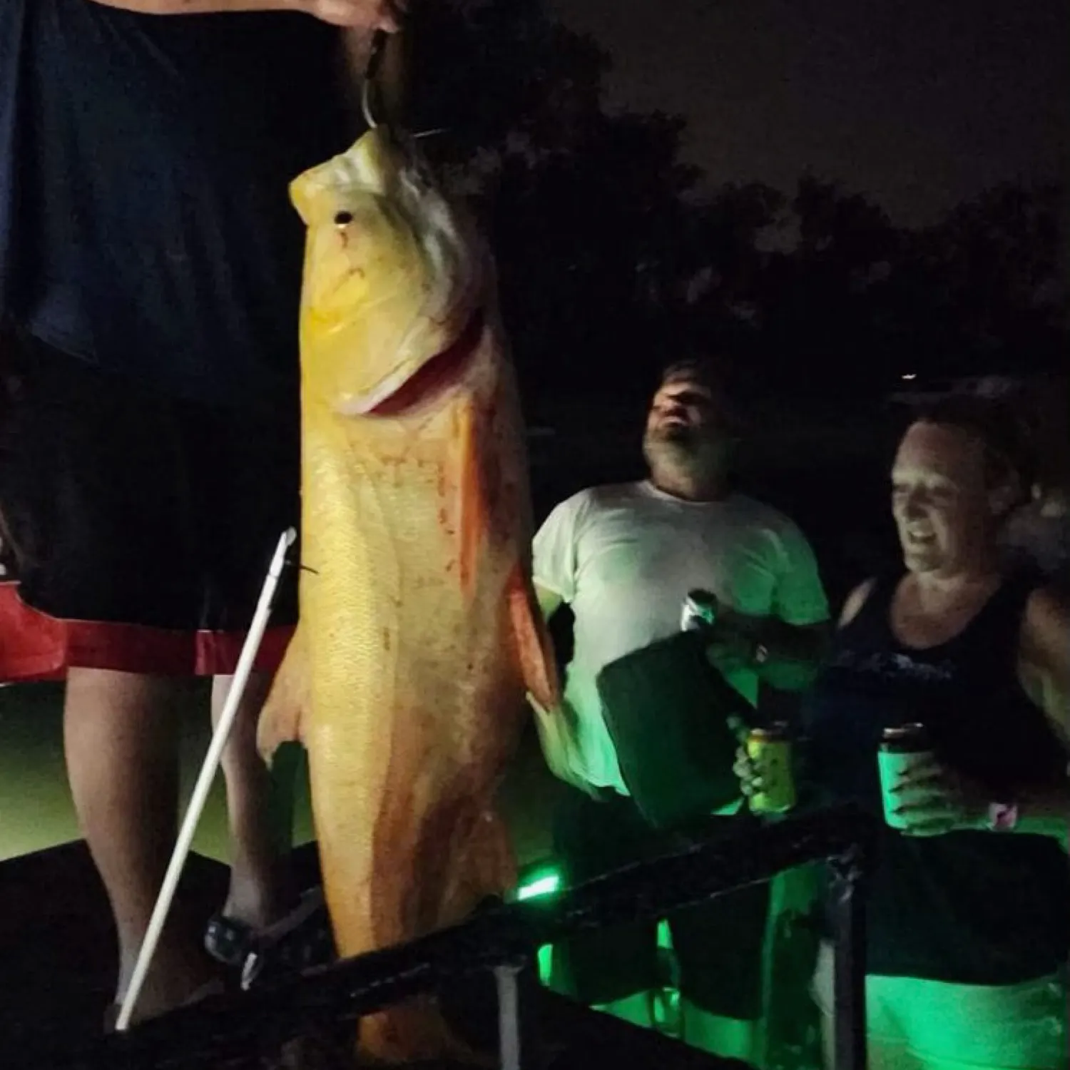 The most recent Silver carp catches on Fishbrain