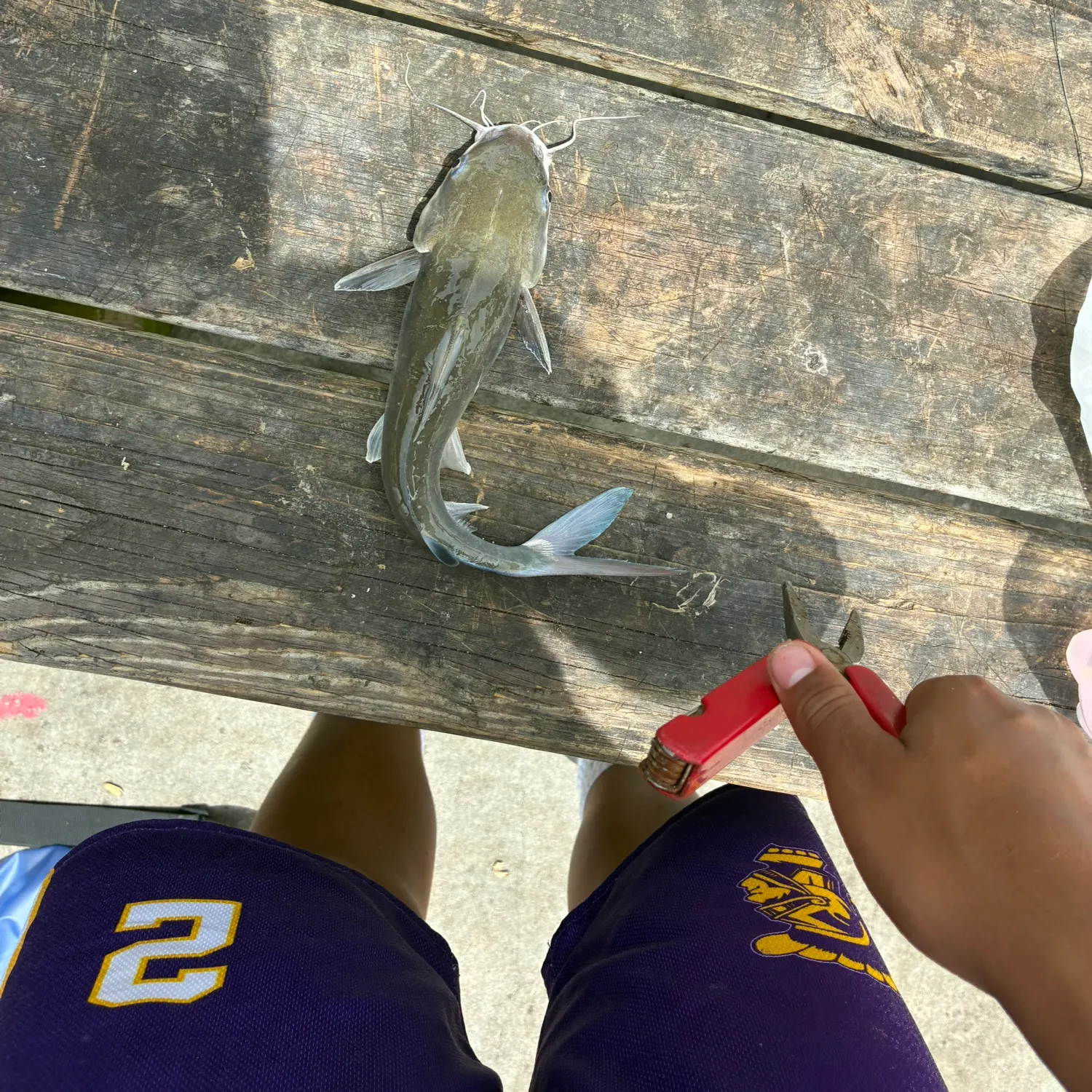 catch