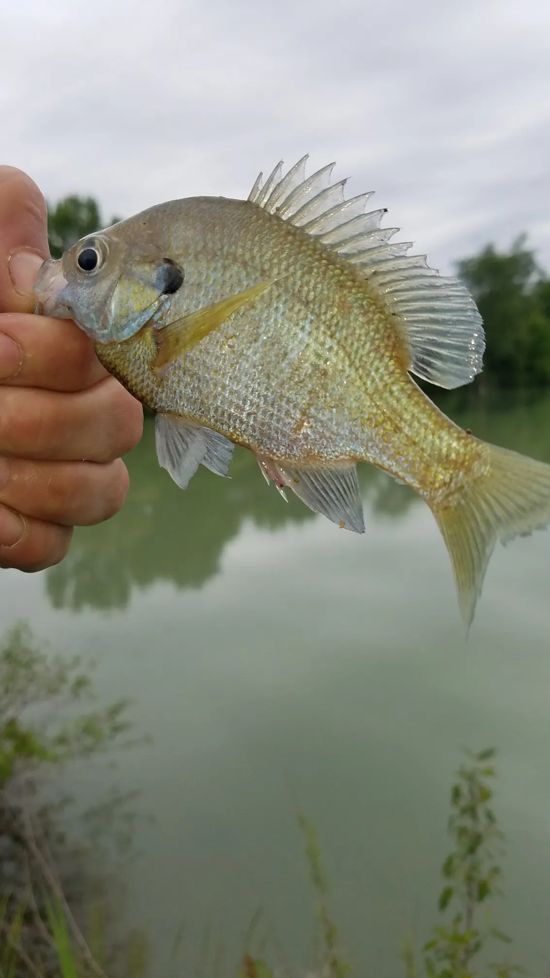 Post image from RiverRecon