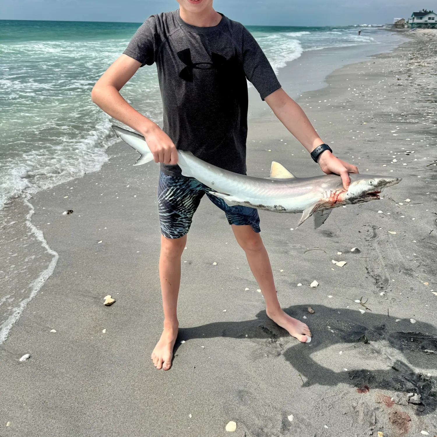 The most recent Atlantic sharpnose shark catches on Fishbrain