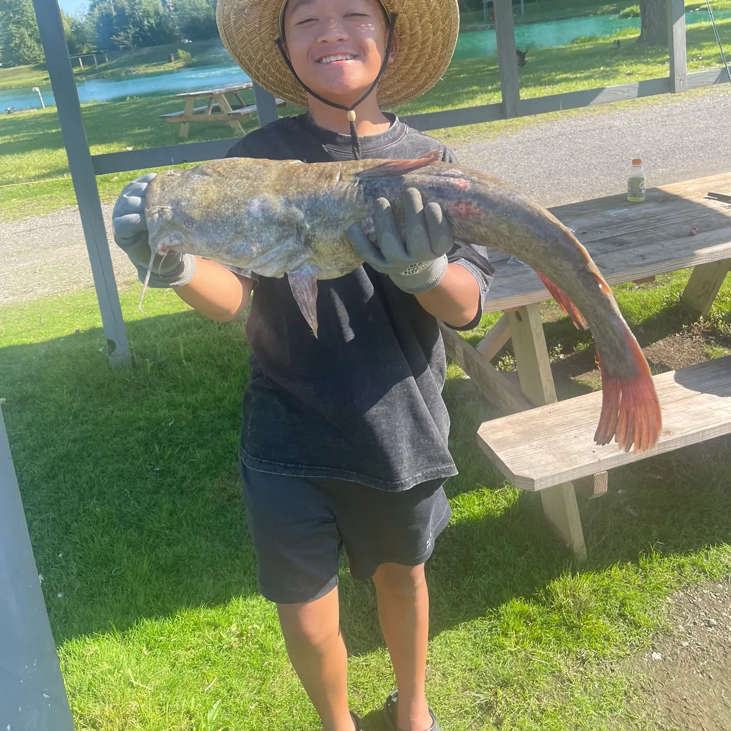 Flathead catfish caught on Fishbrain