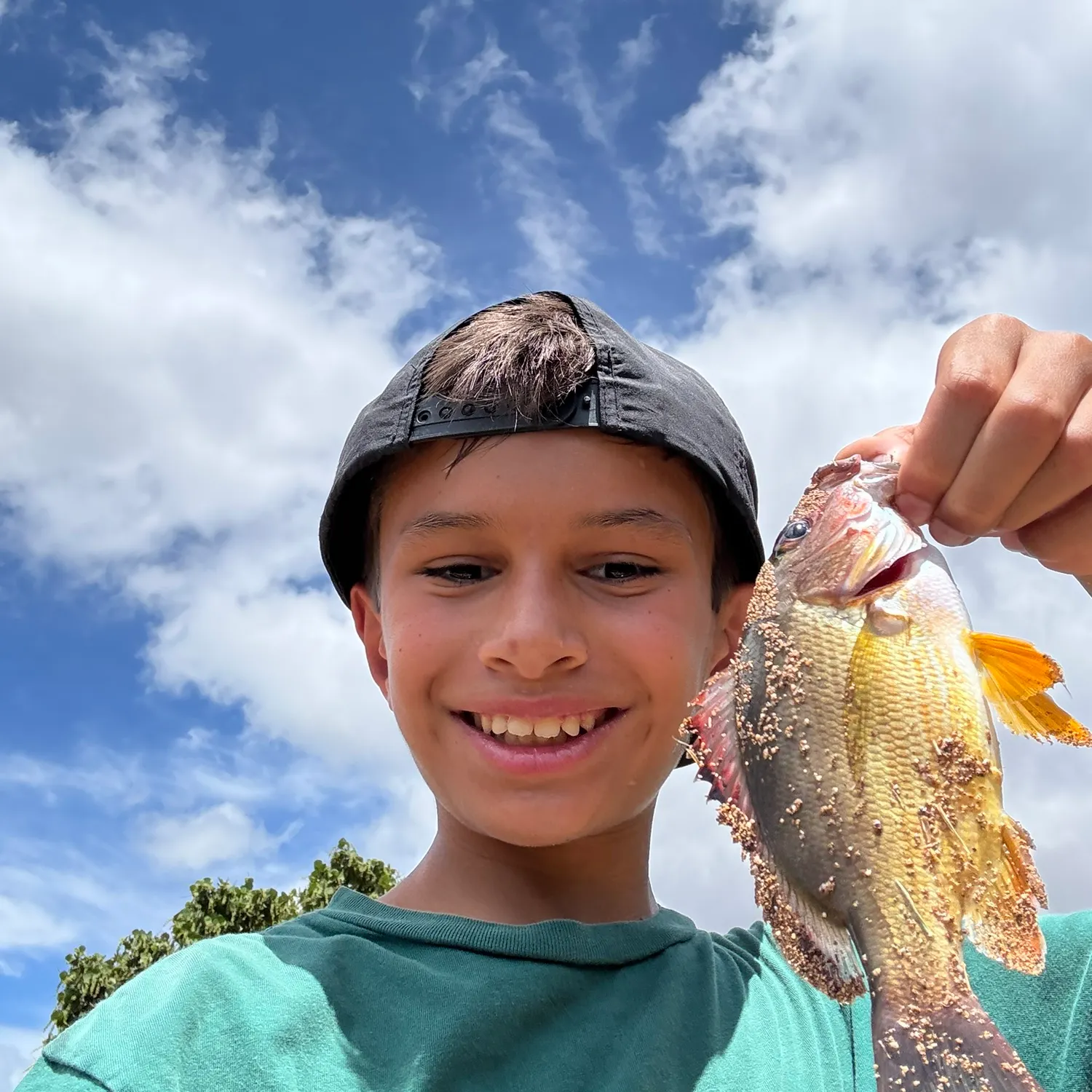 The most recent Blackfin snapper catches on Fishbrain