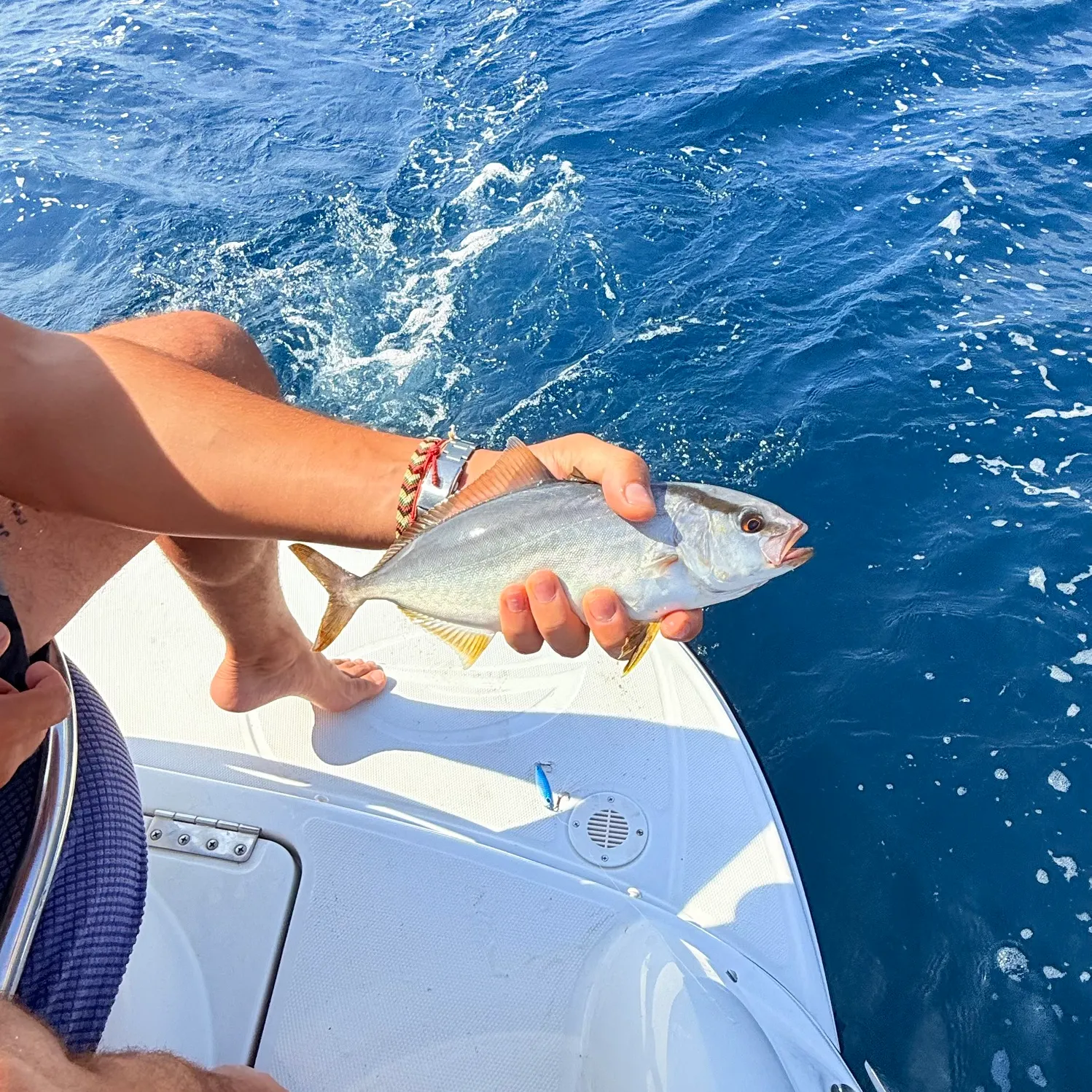 Greater amberjack caught on Fishbrain