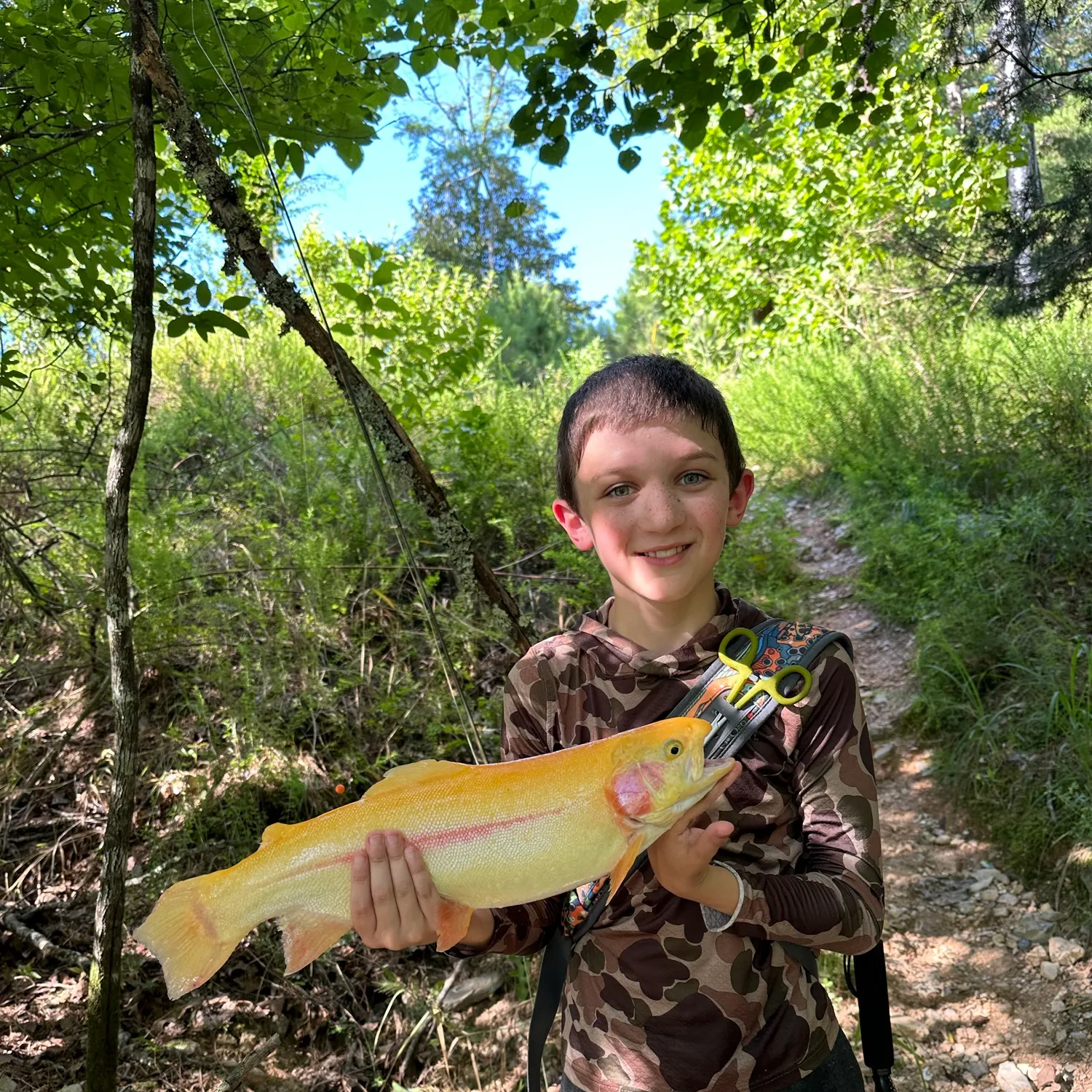 Golden rainbow trout caught on Fishbrain