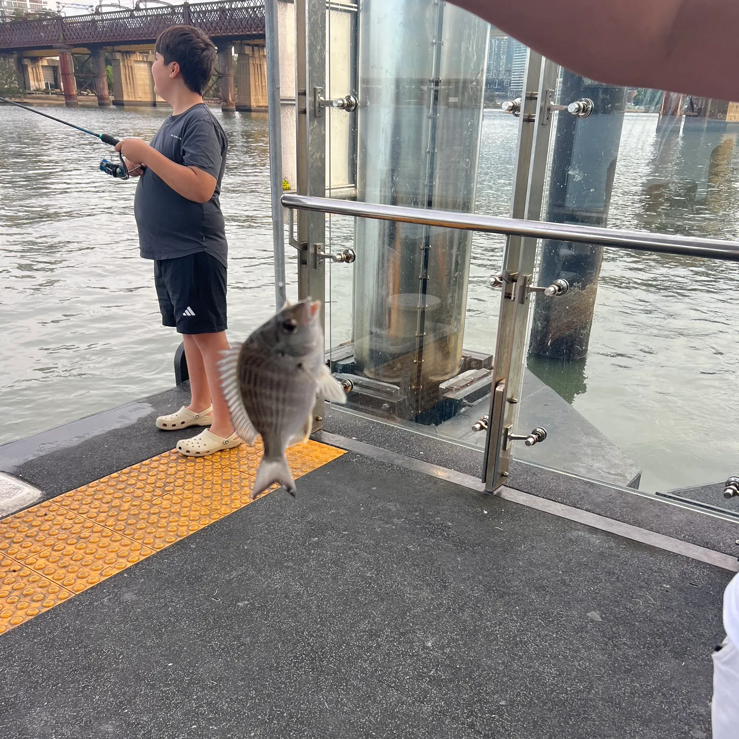 catch