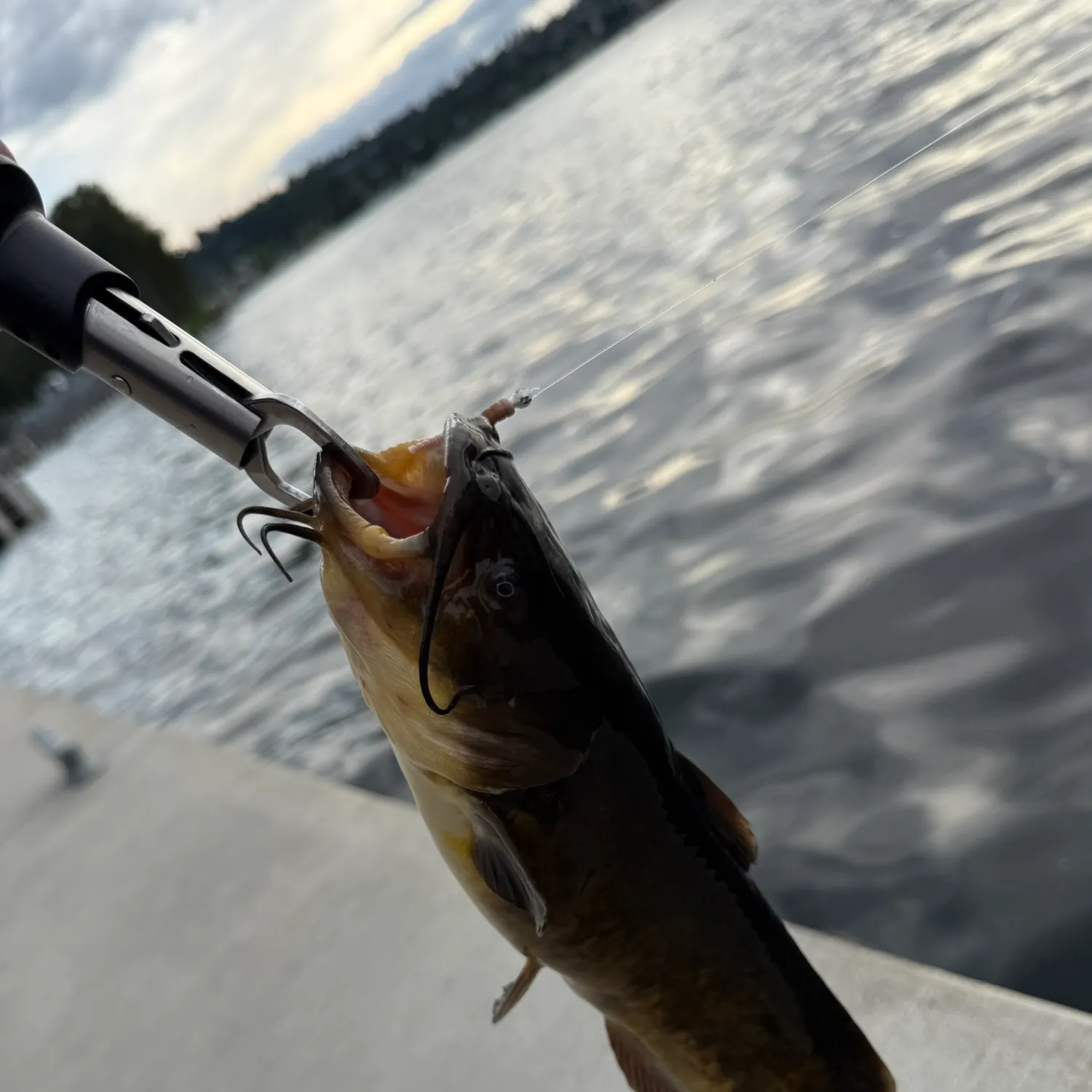 catch