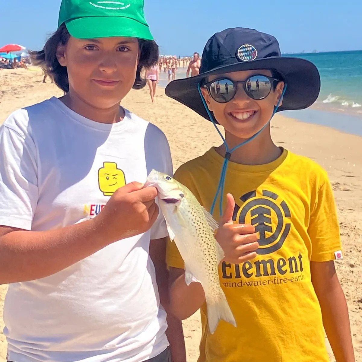 The most recent Spotted seabass catches on Fishbrain
