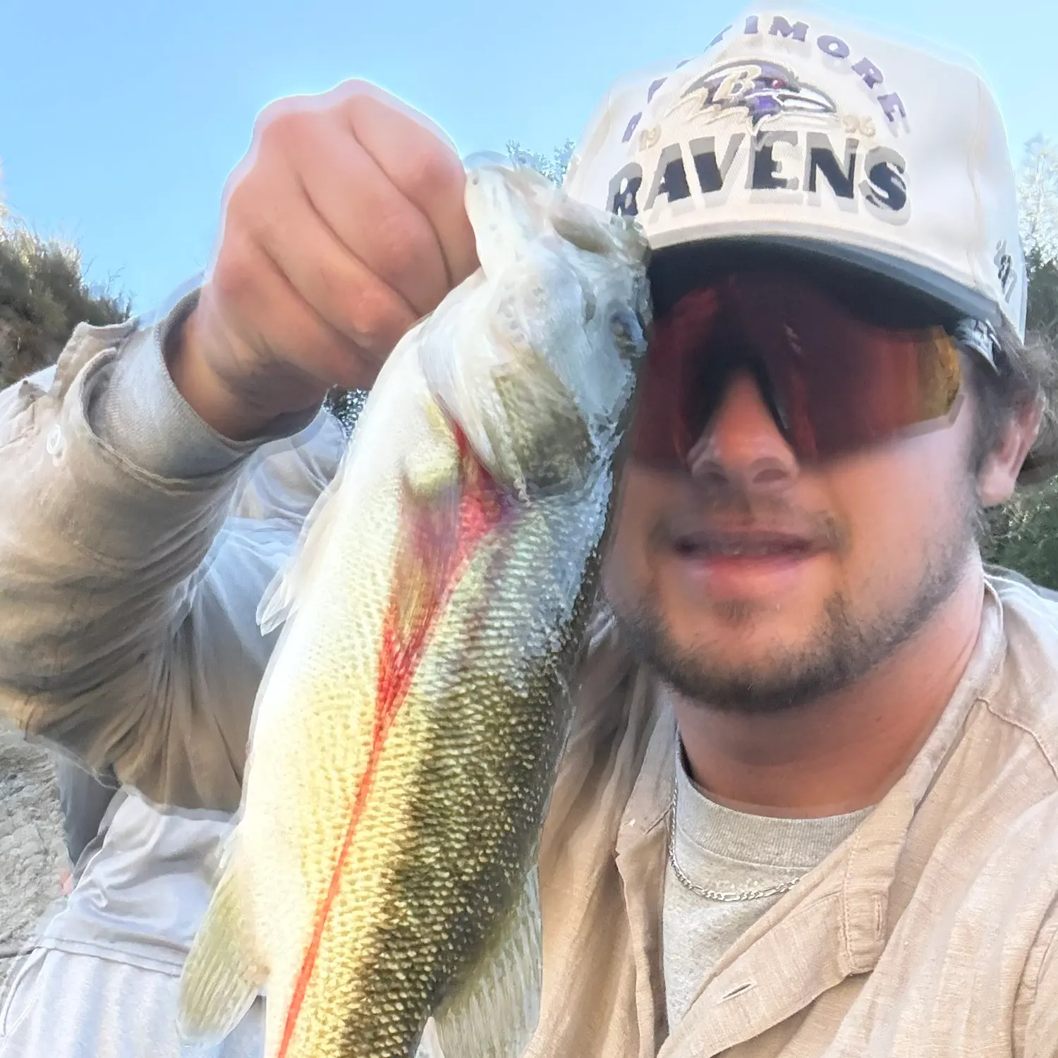 Spotted bass caught on Fishbrain