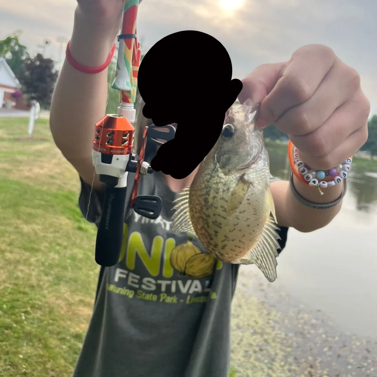White crappie caught on Fishbrain