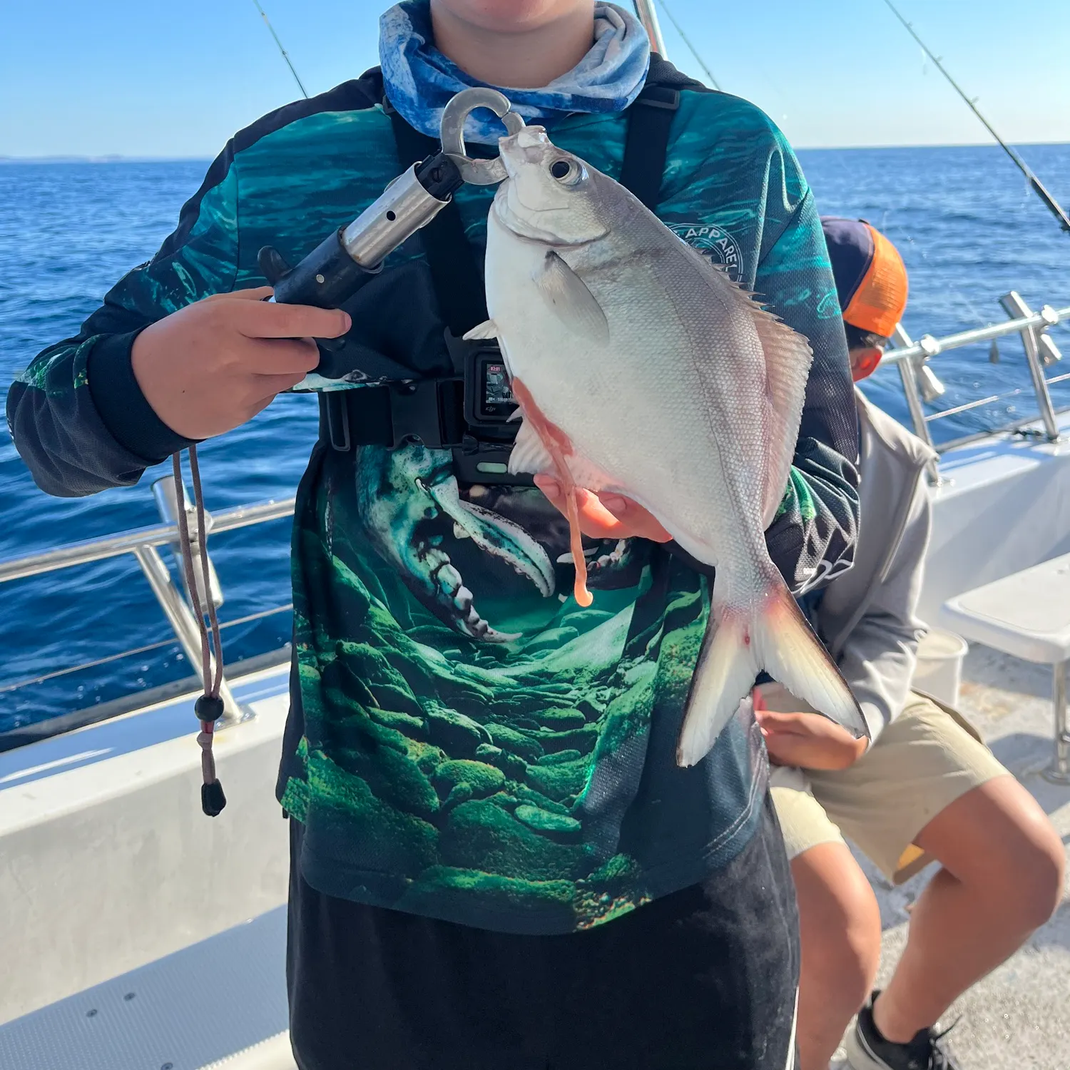 The most recent Silver sweep catches on Fishbrain