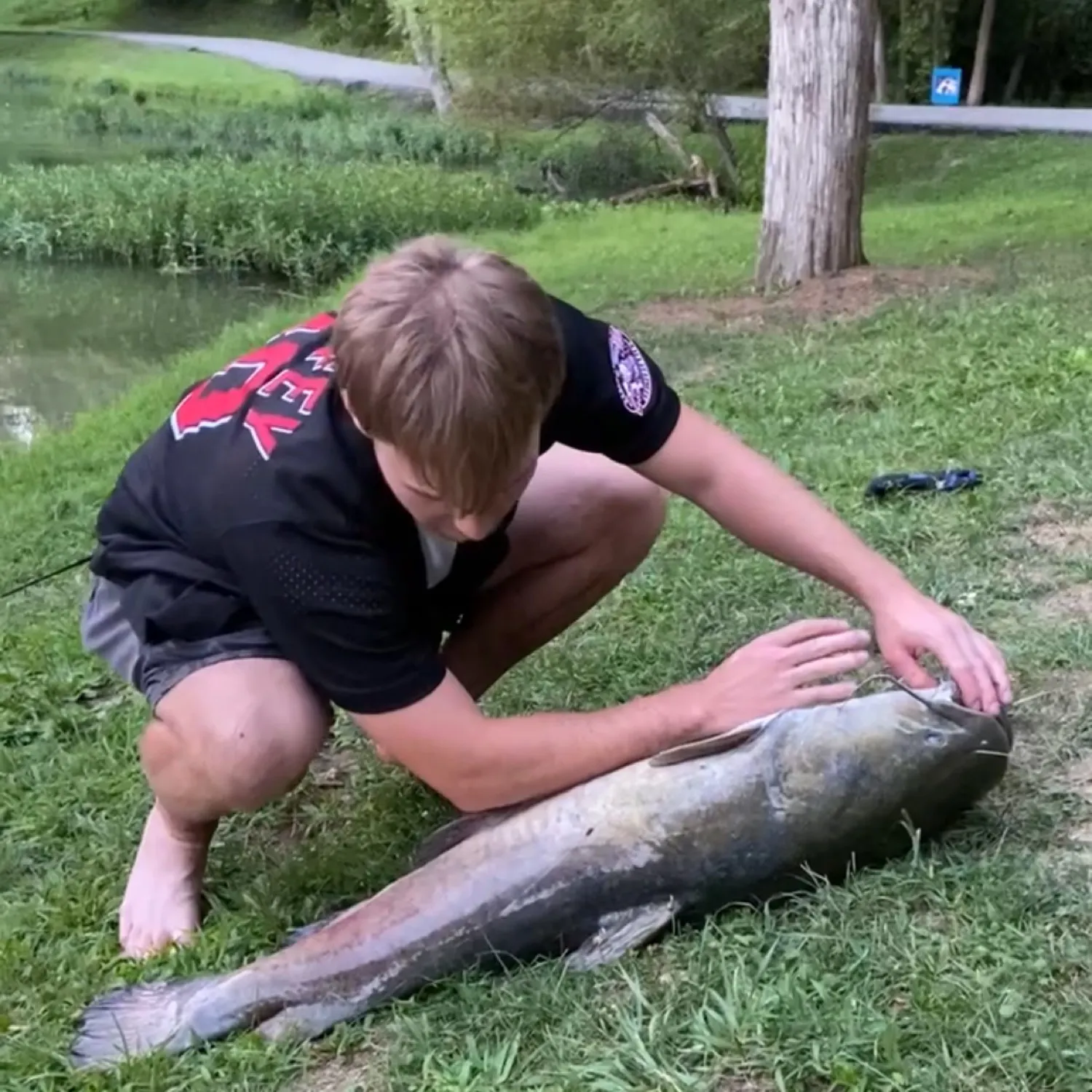 catch