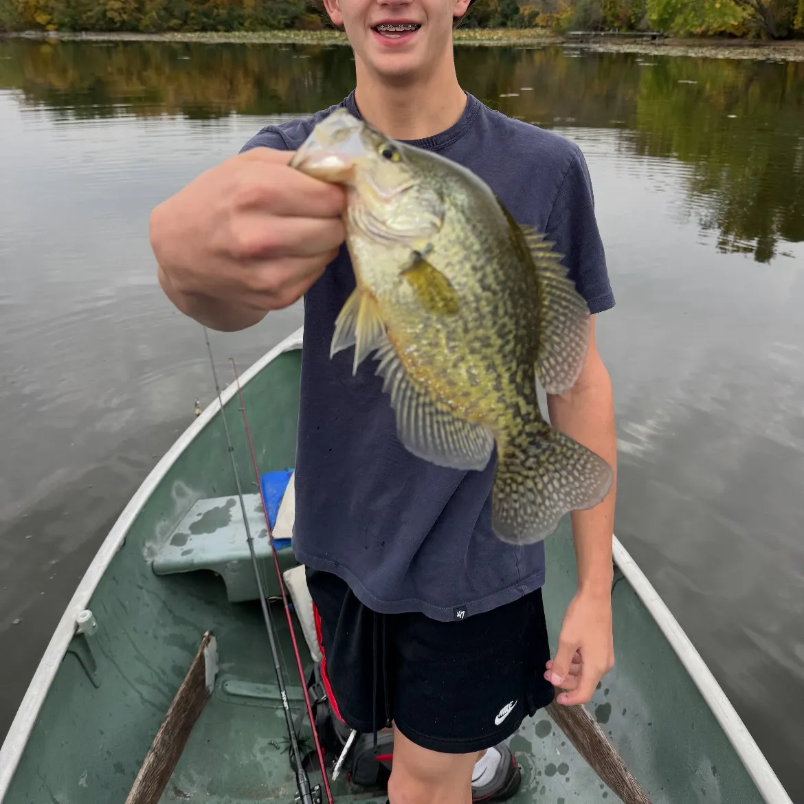 Black crappie caught on Fishbrain