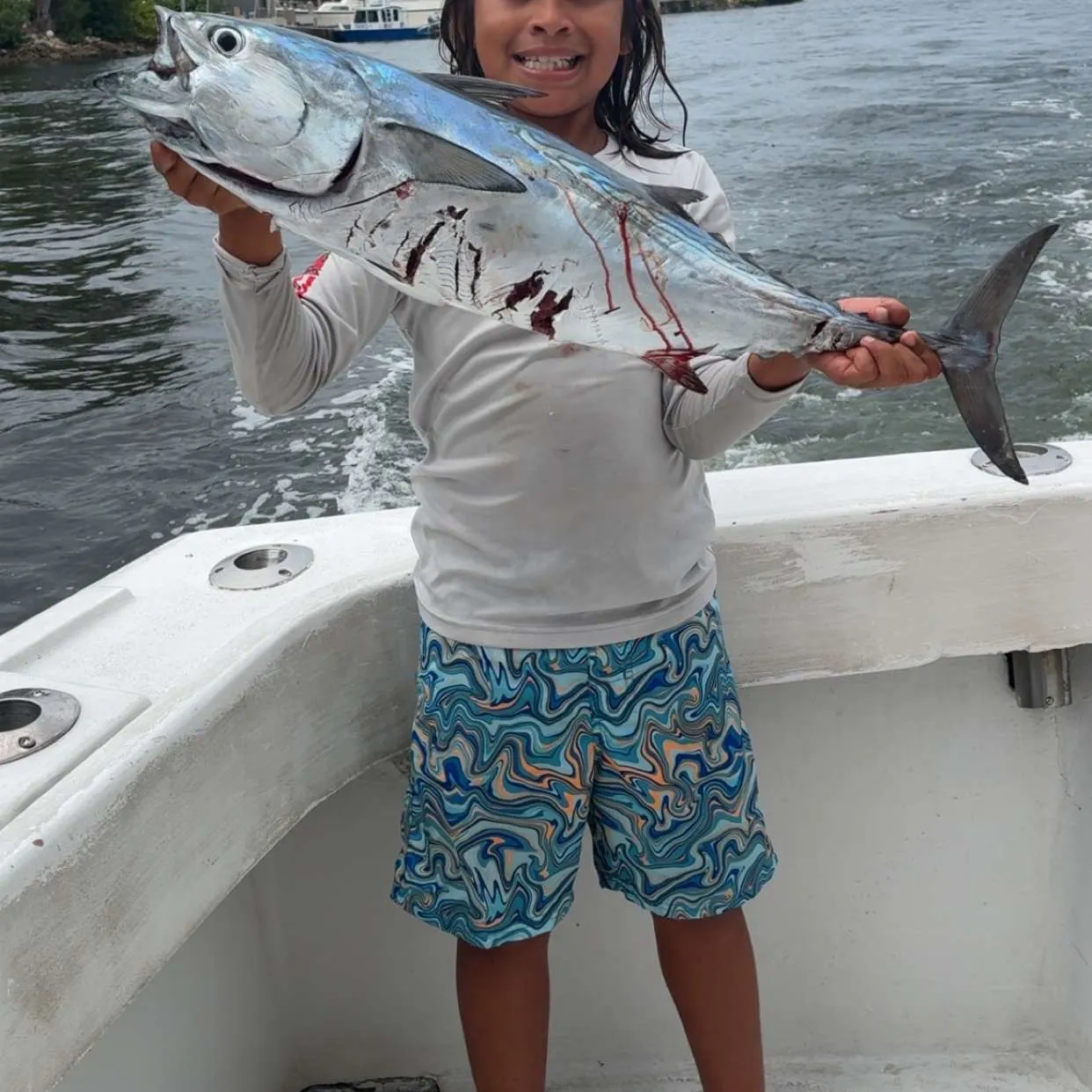 The most recent Kawakawa catches on Fishbrain