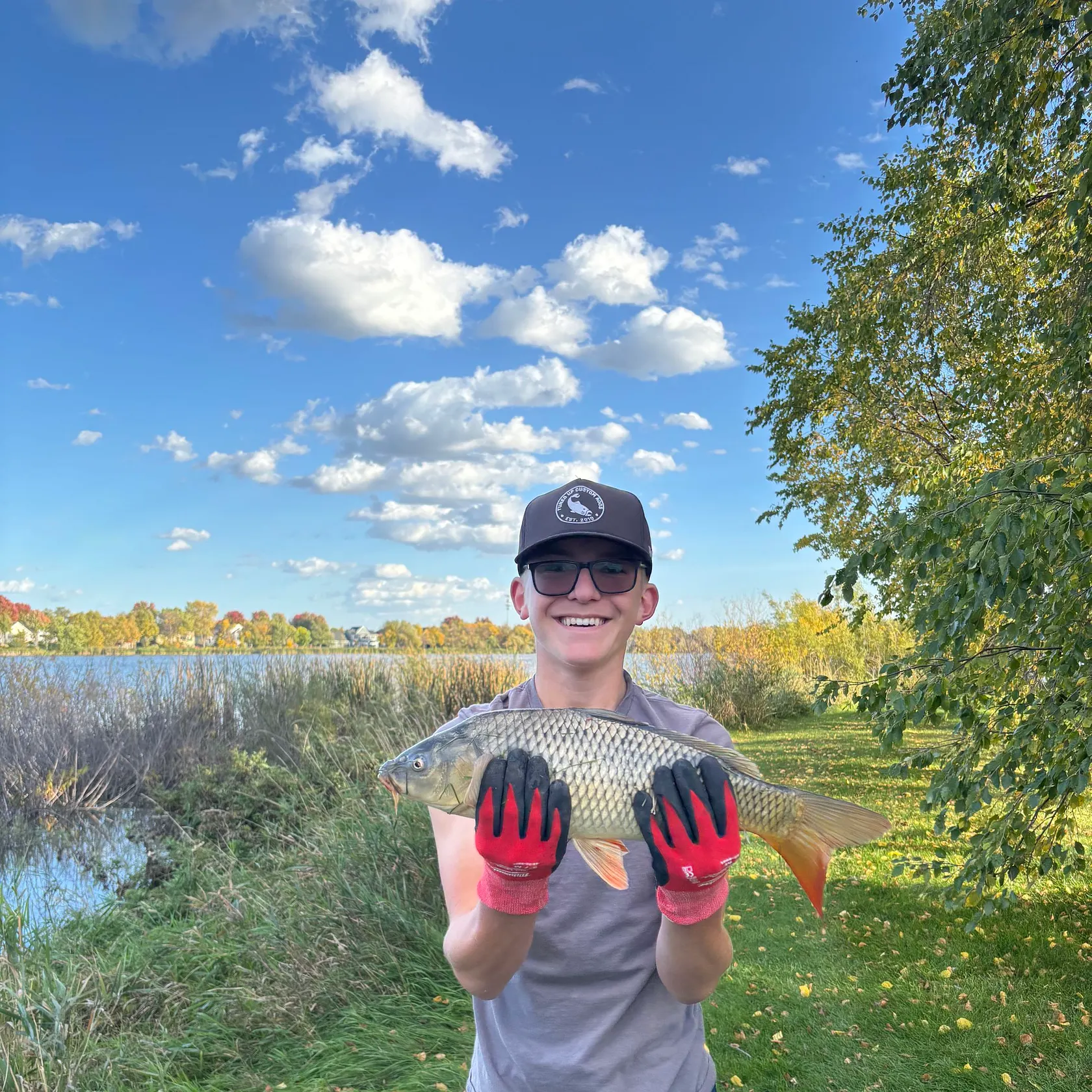 Common carp caught on Fishbrain