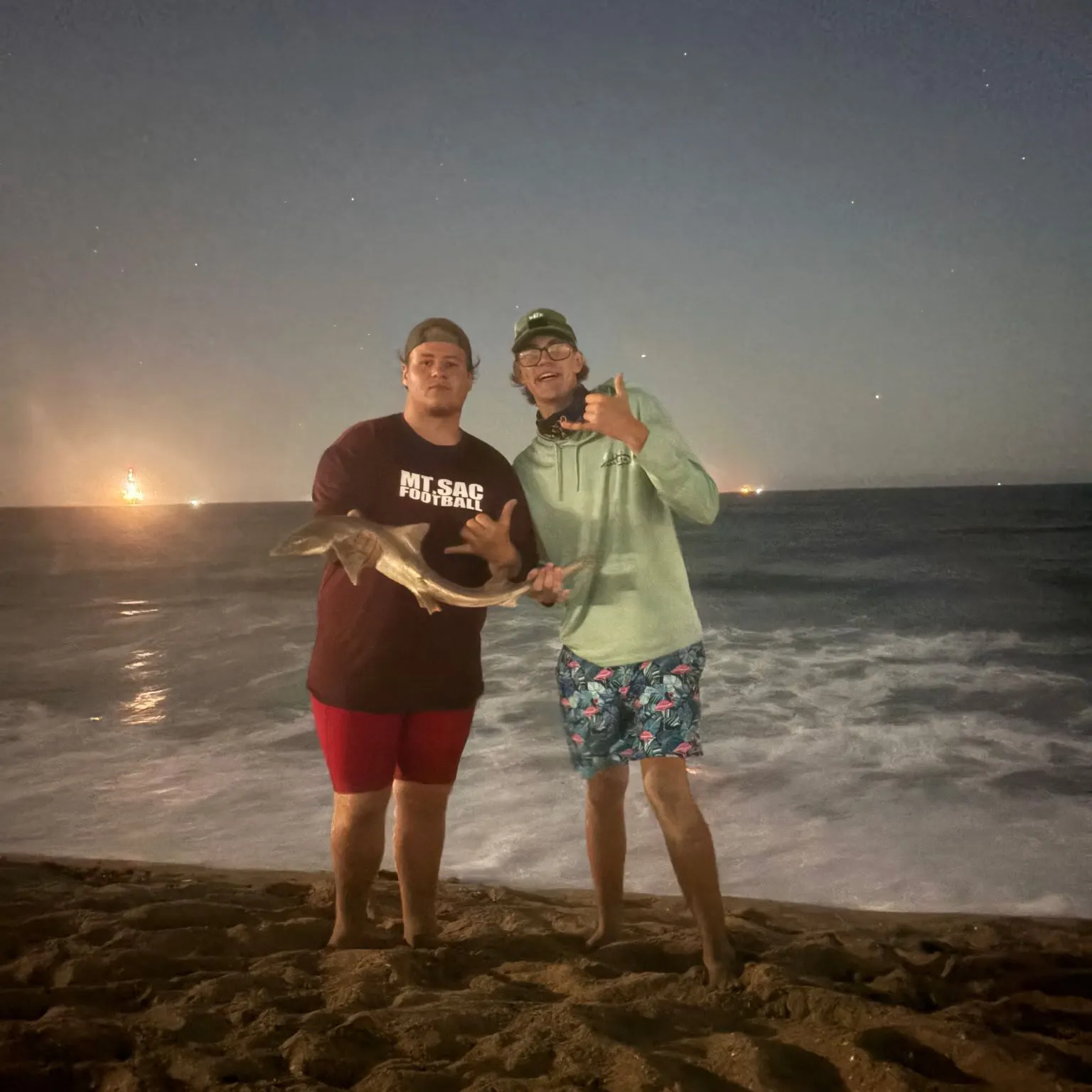 The most recent Grey smooth-hound catches on Fishbrain