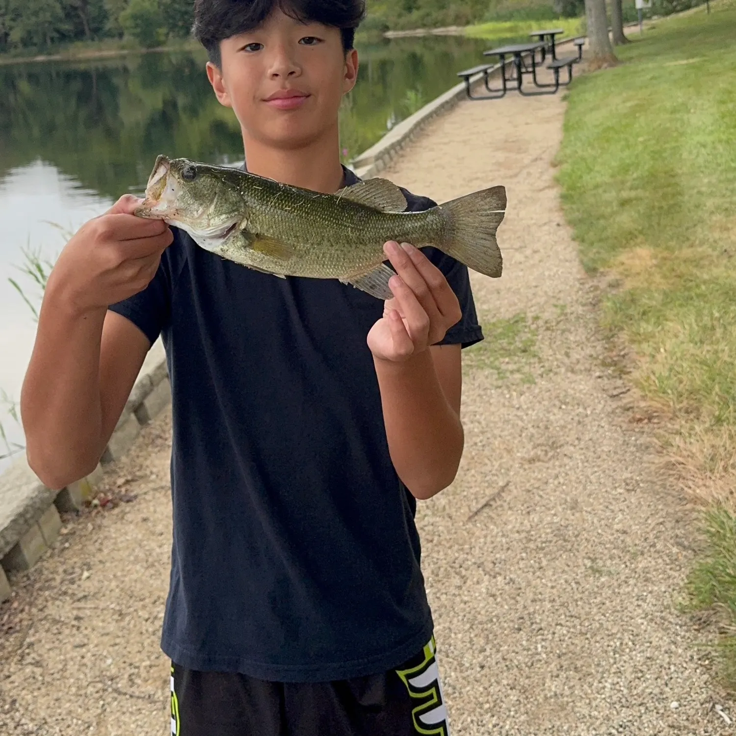 Largemouth bass caught on Fishbrain