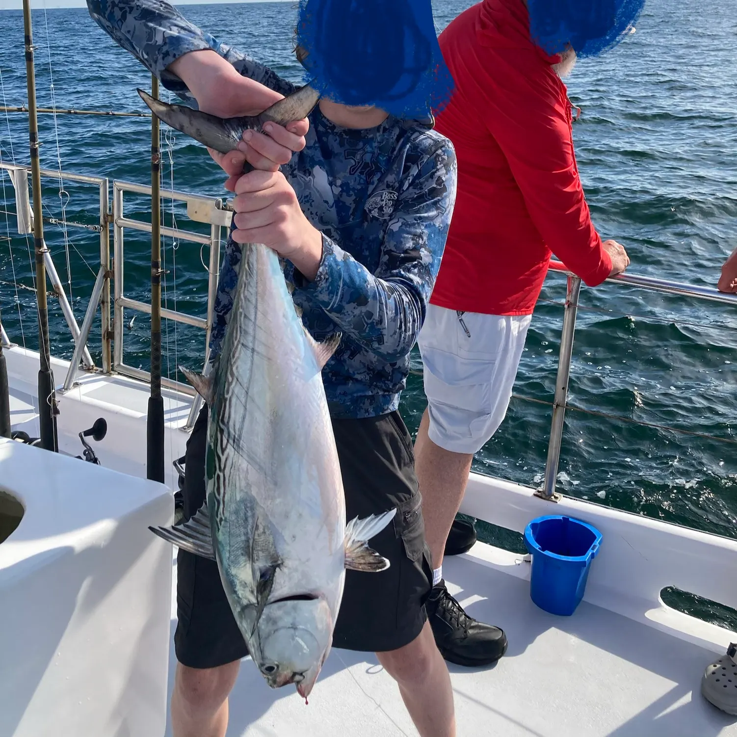 The most recent Little tunny catches on Fishbrain