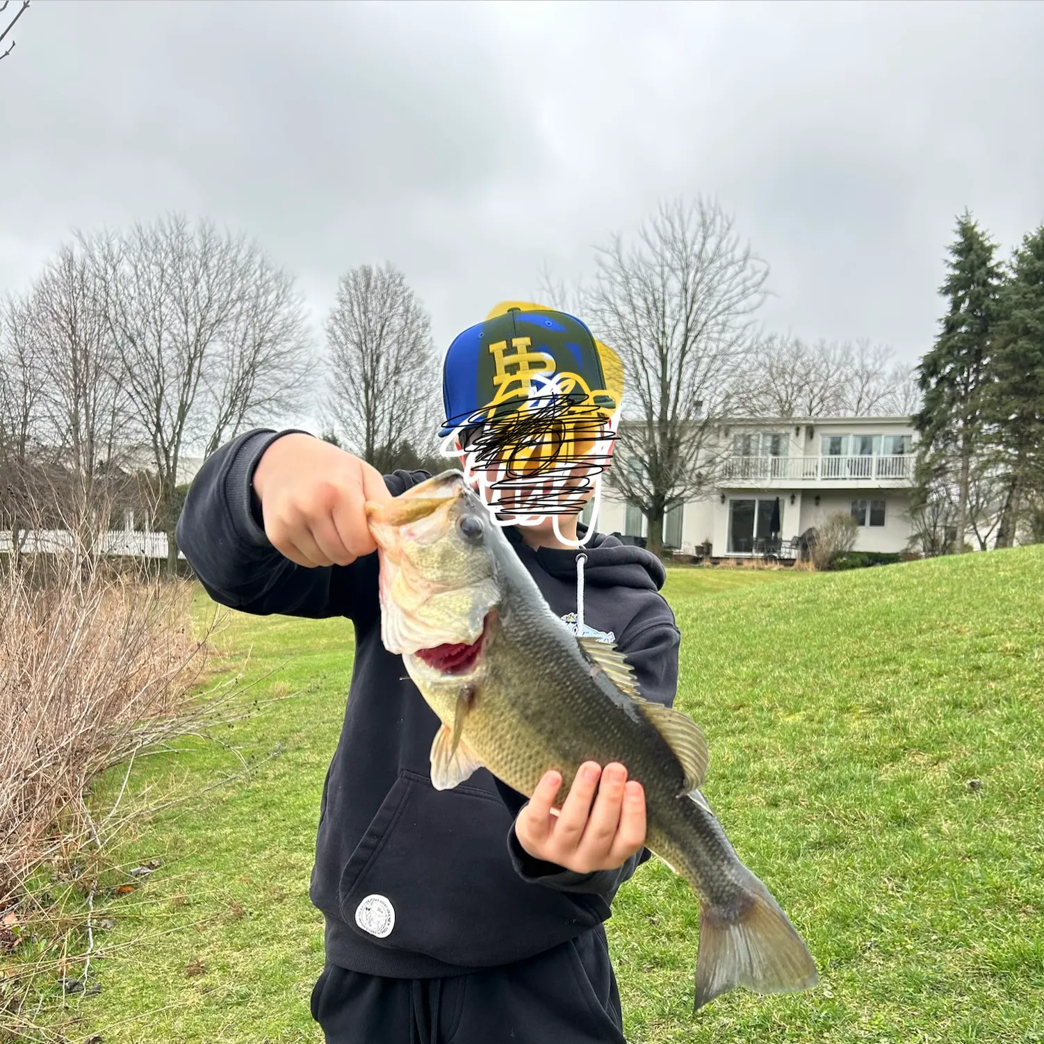 Largemouth bass caught on Fishbrain