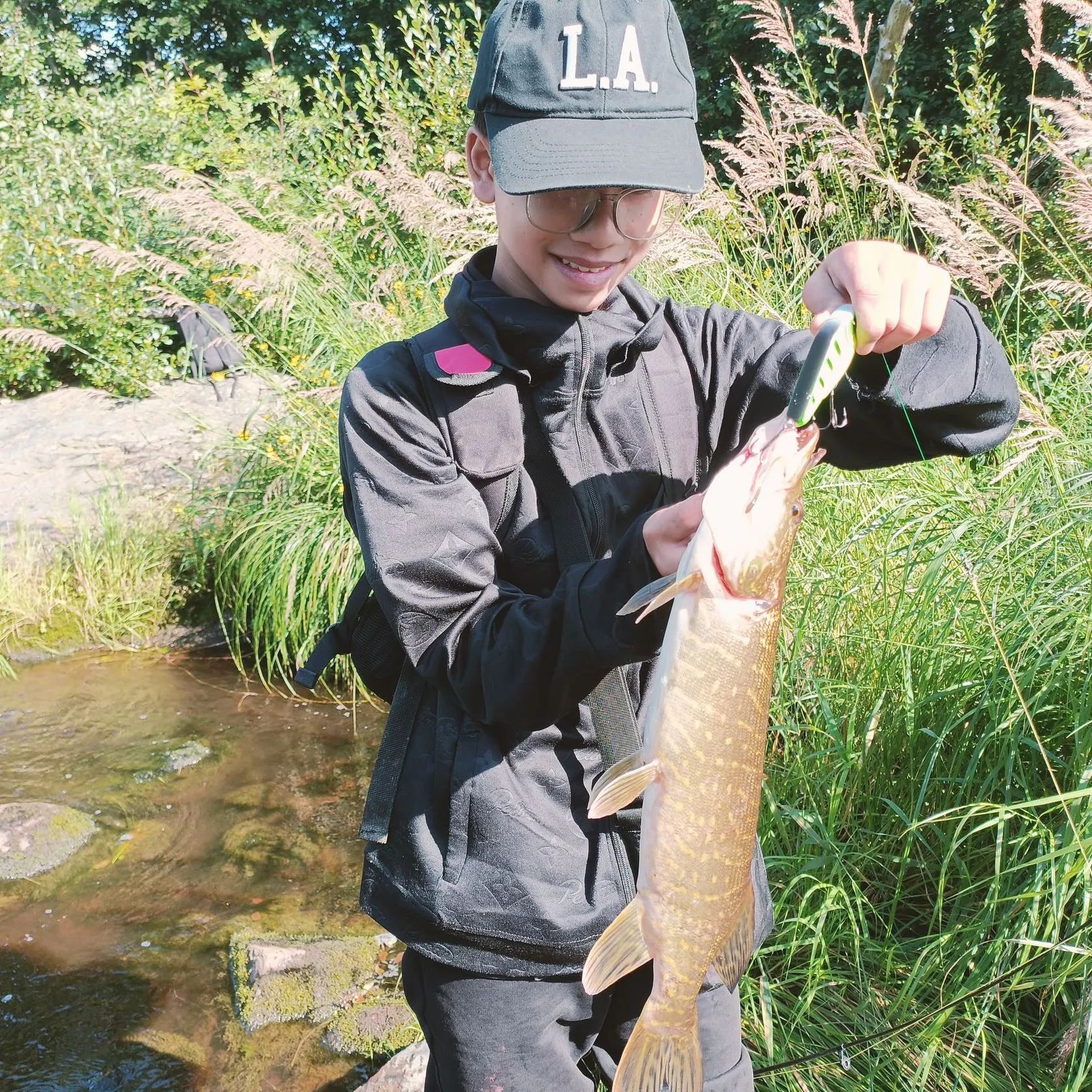 Northern pike caught on Fishbrain