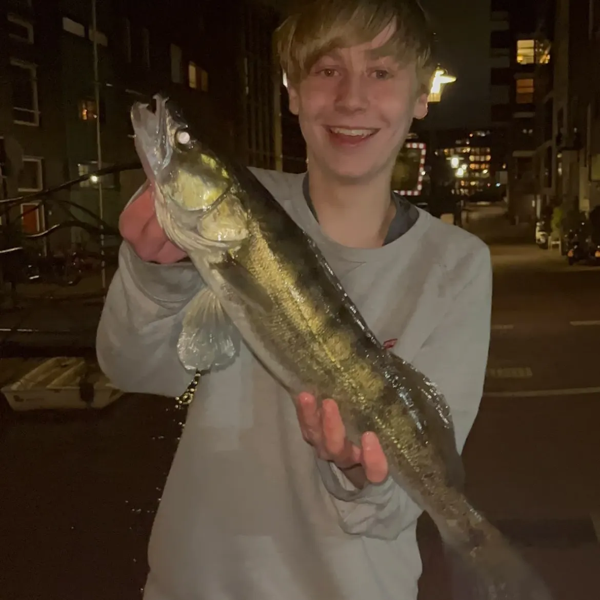 Zander caught on Fishbrain