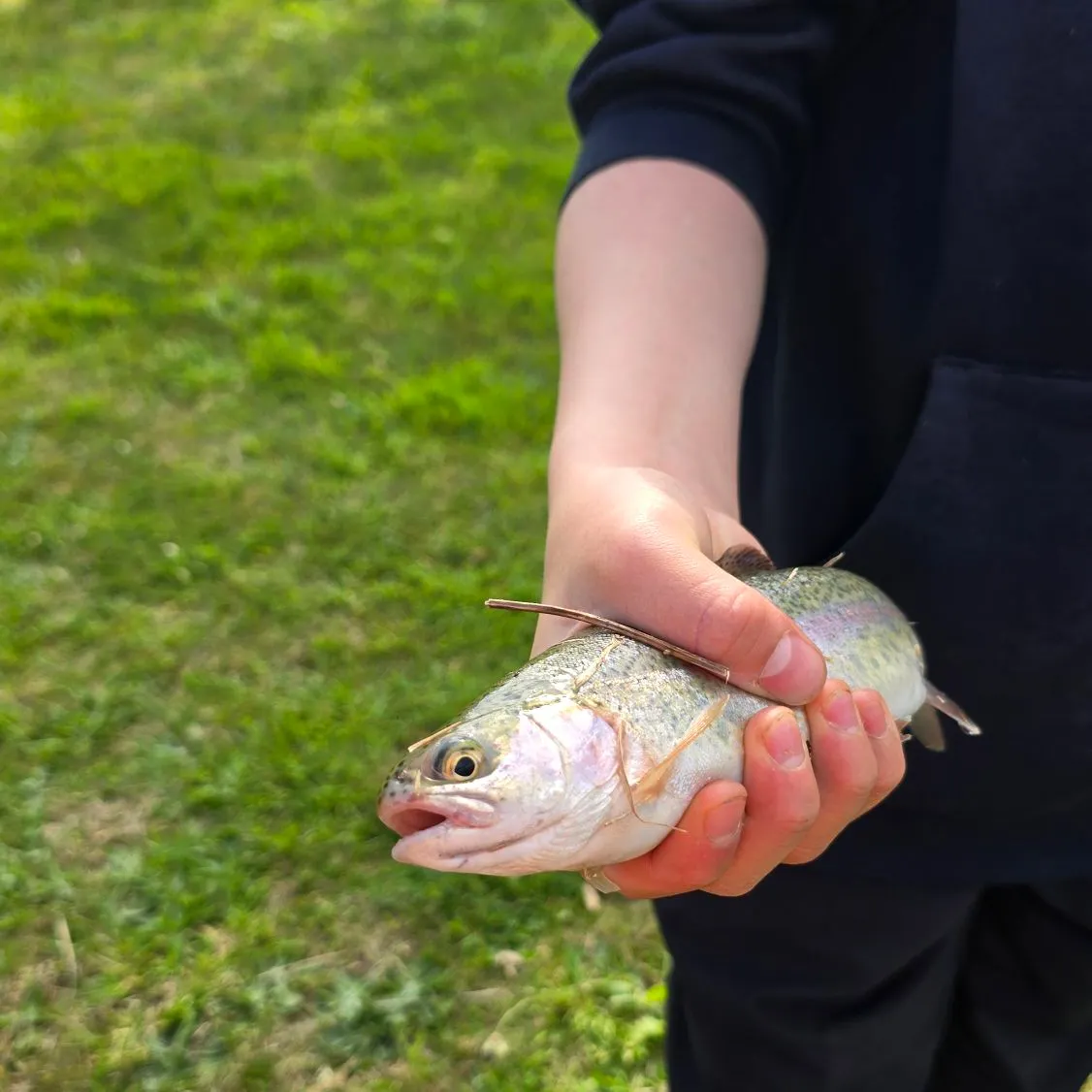 Rainbow trout caught on Fishbrain