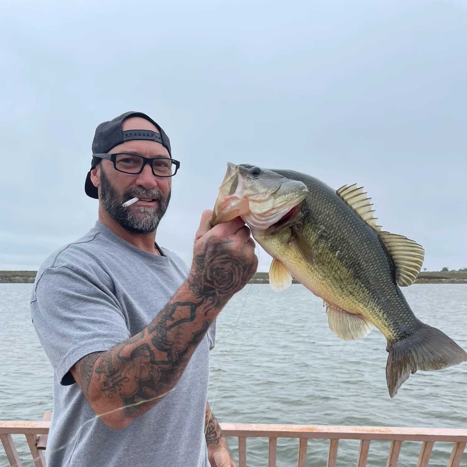 Largemouth bass caught on Fishbrain