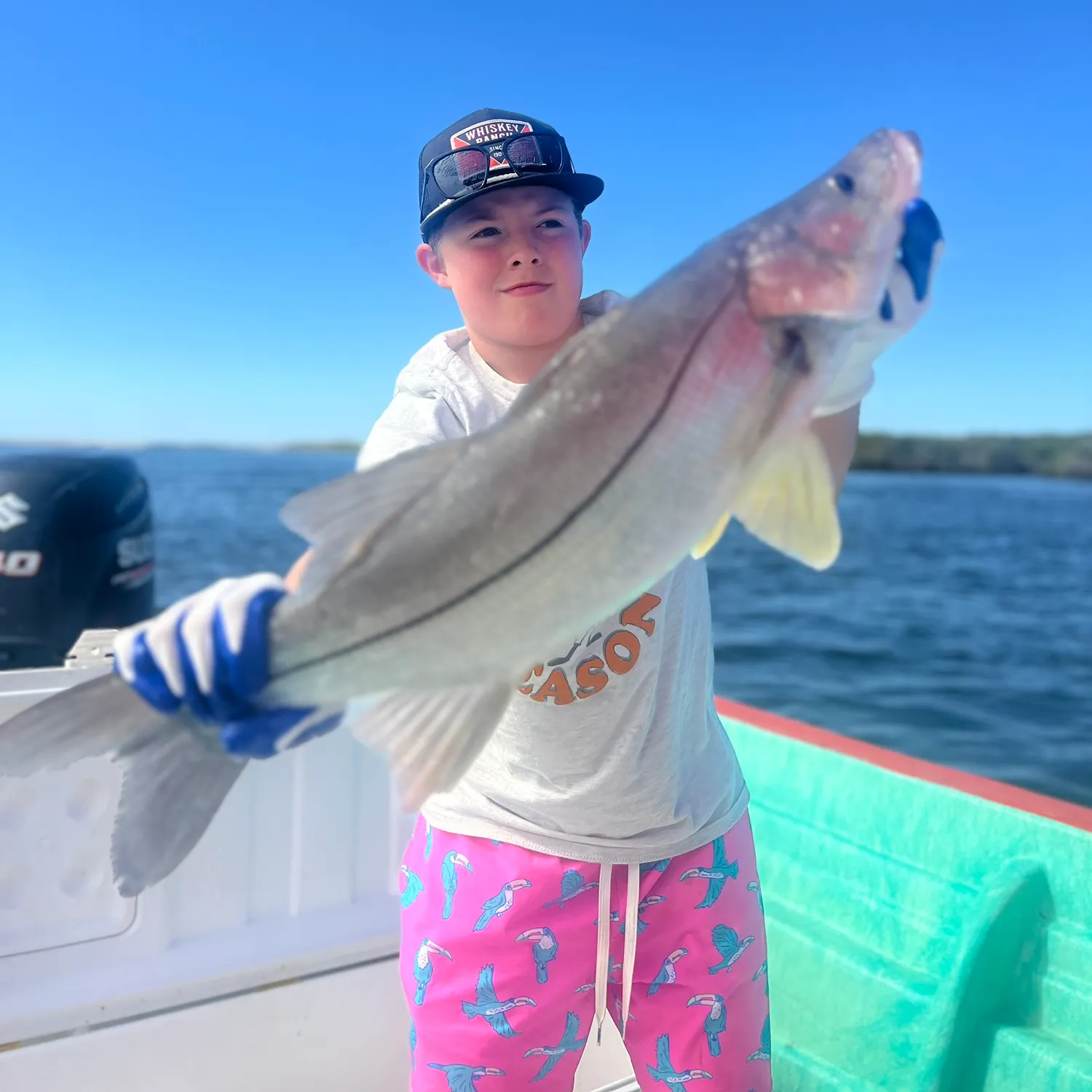 The most recent White snook catches on Fishbrain