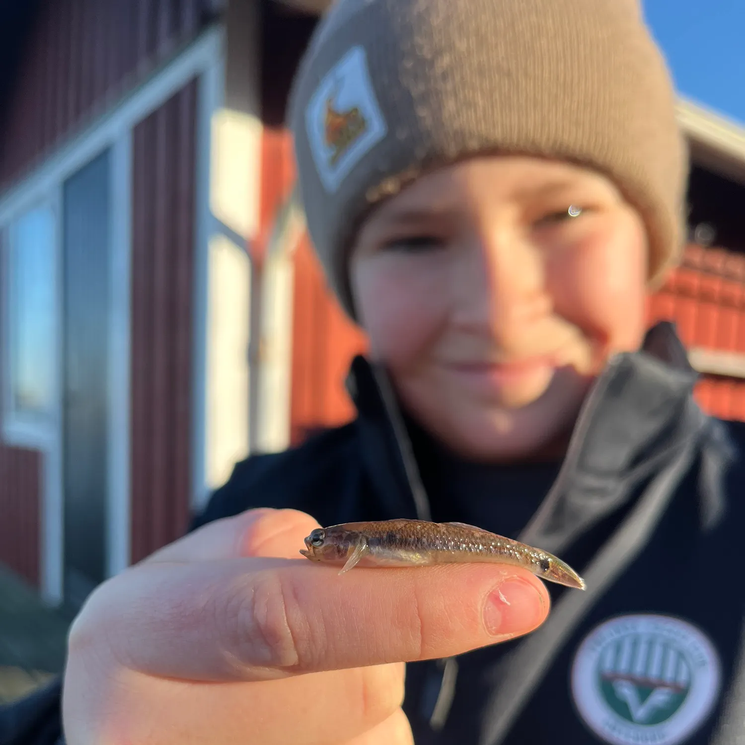The most recent Two-spotted goby catches on Fishbrain