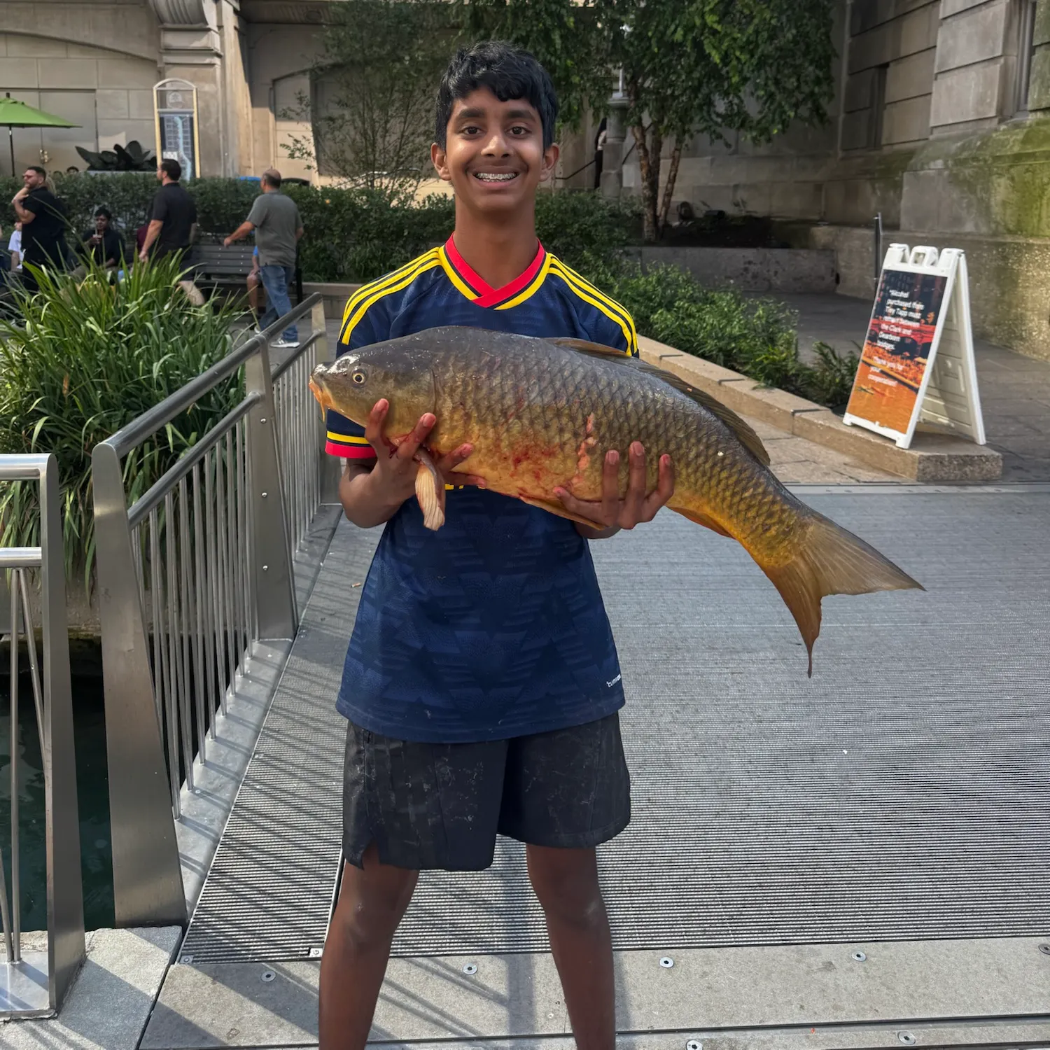 Common carp caught on Fishbrain