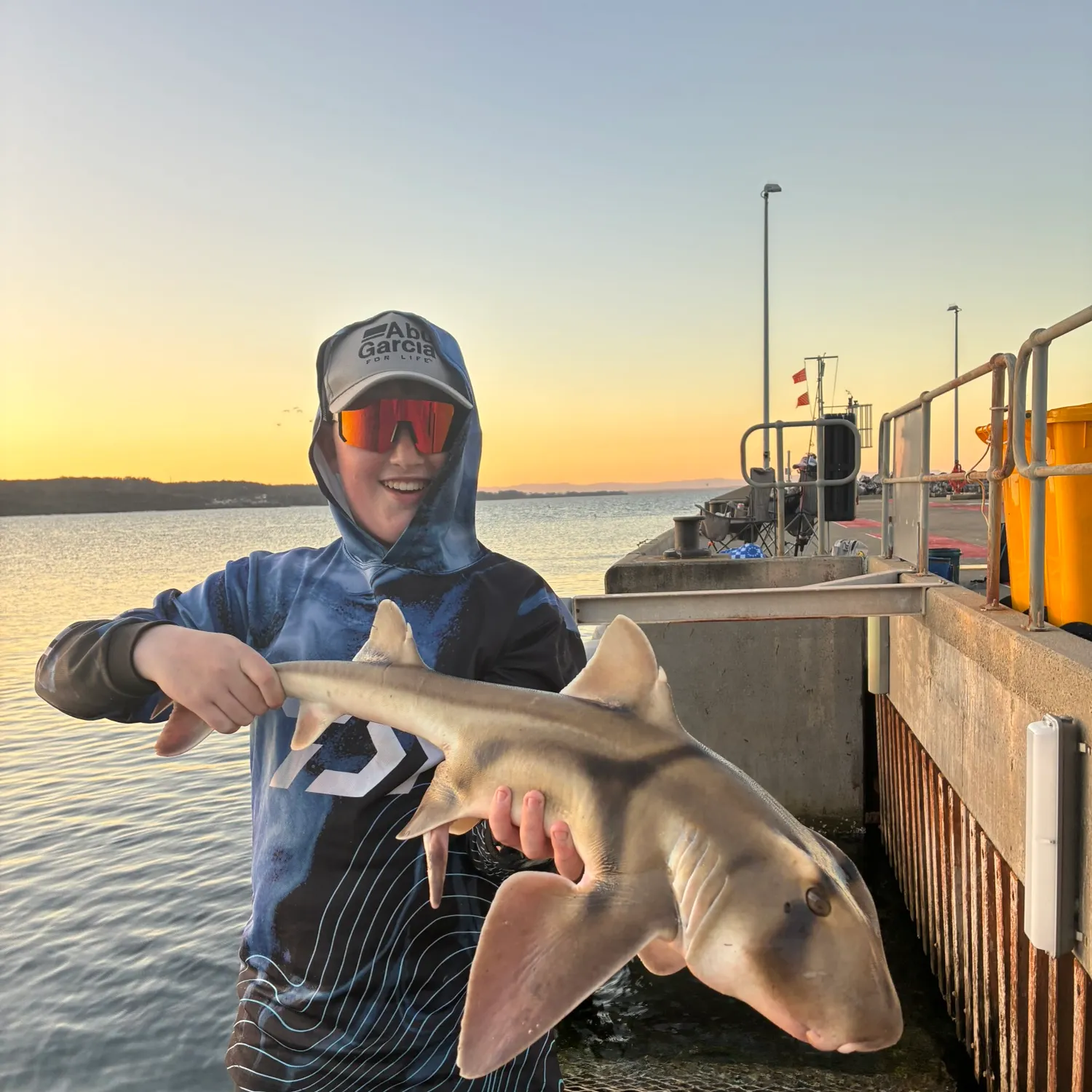 Port Jackson shark caught on Fishbrain