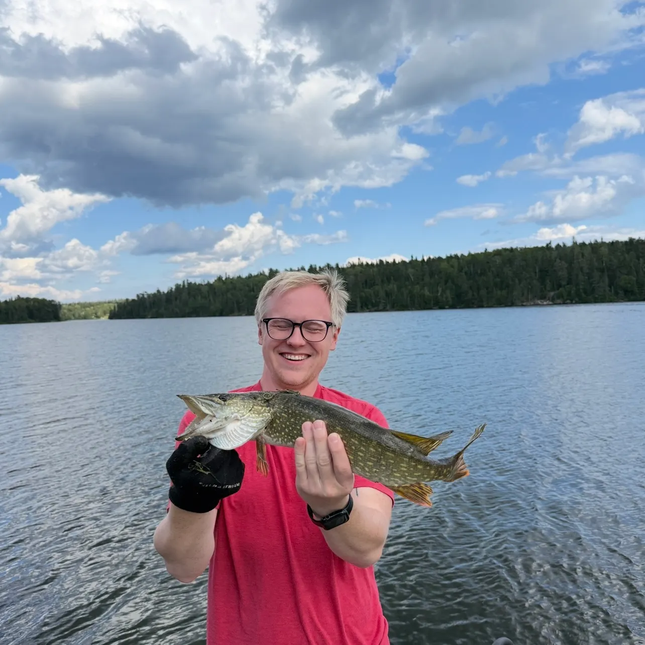 Northern pike caught on Fishbrain